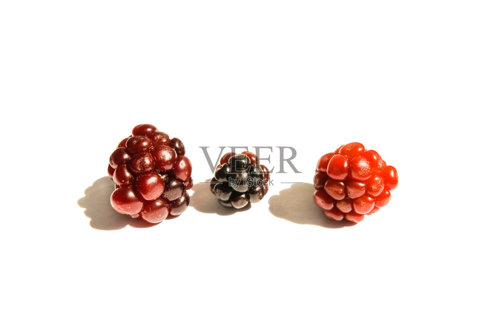 白色背景上的未成熟的黑莓浆果照片摄影图片