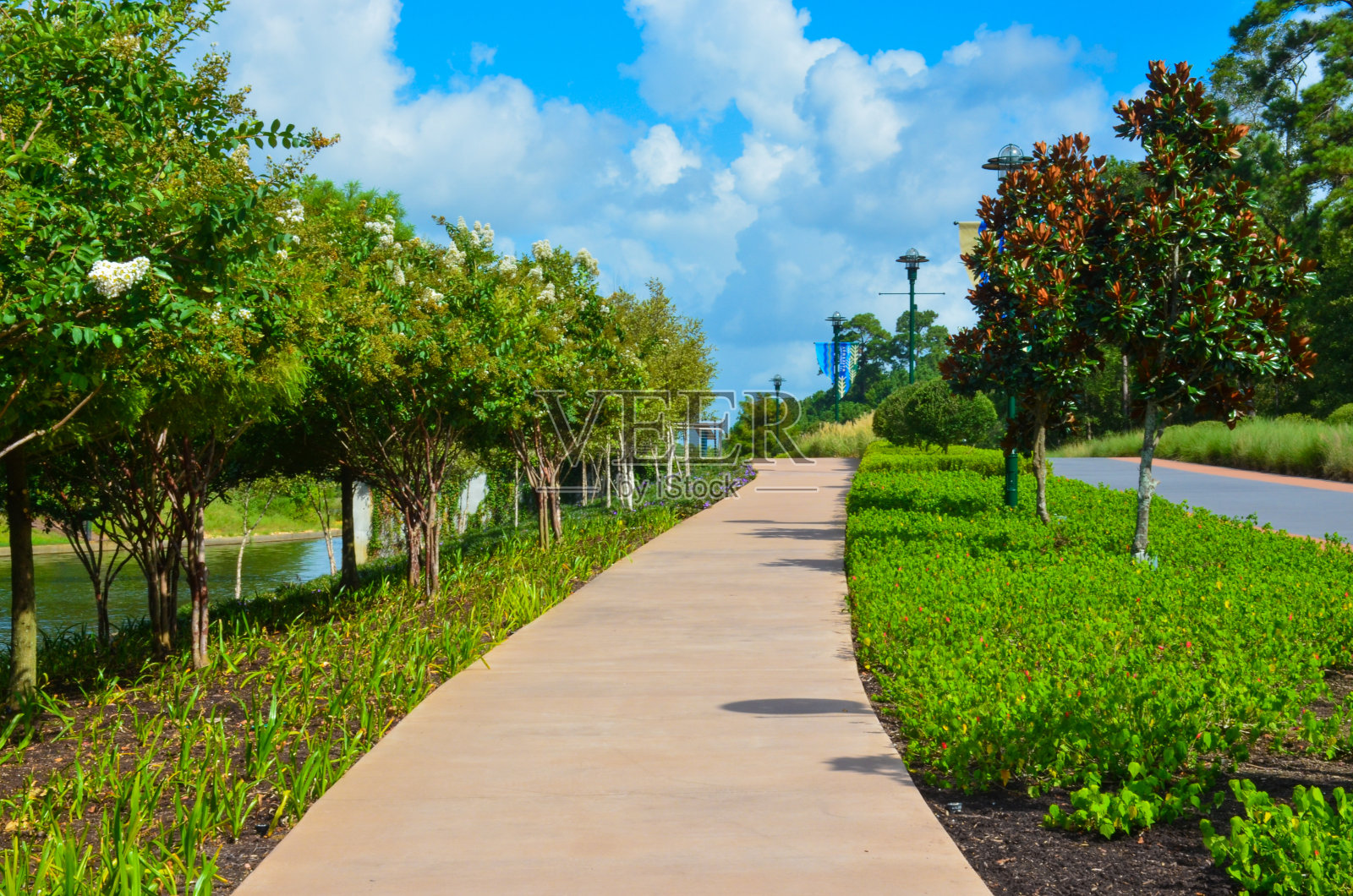 美国德克萨斯州伍德兰湖水道。2020年8月照片摄影图片