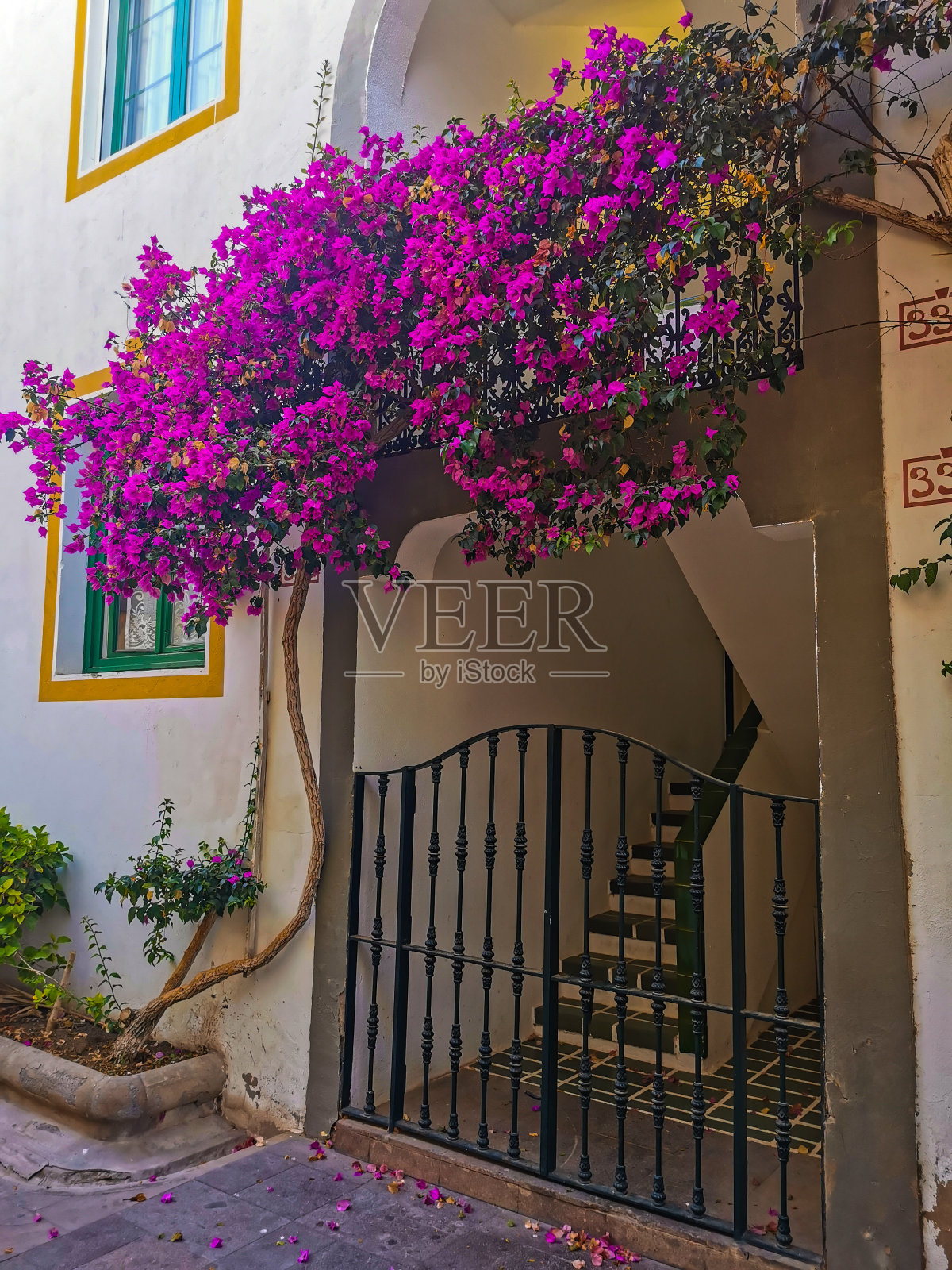 房子上的花照片摄影图片