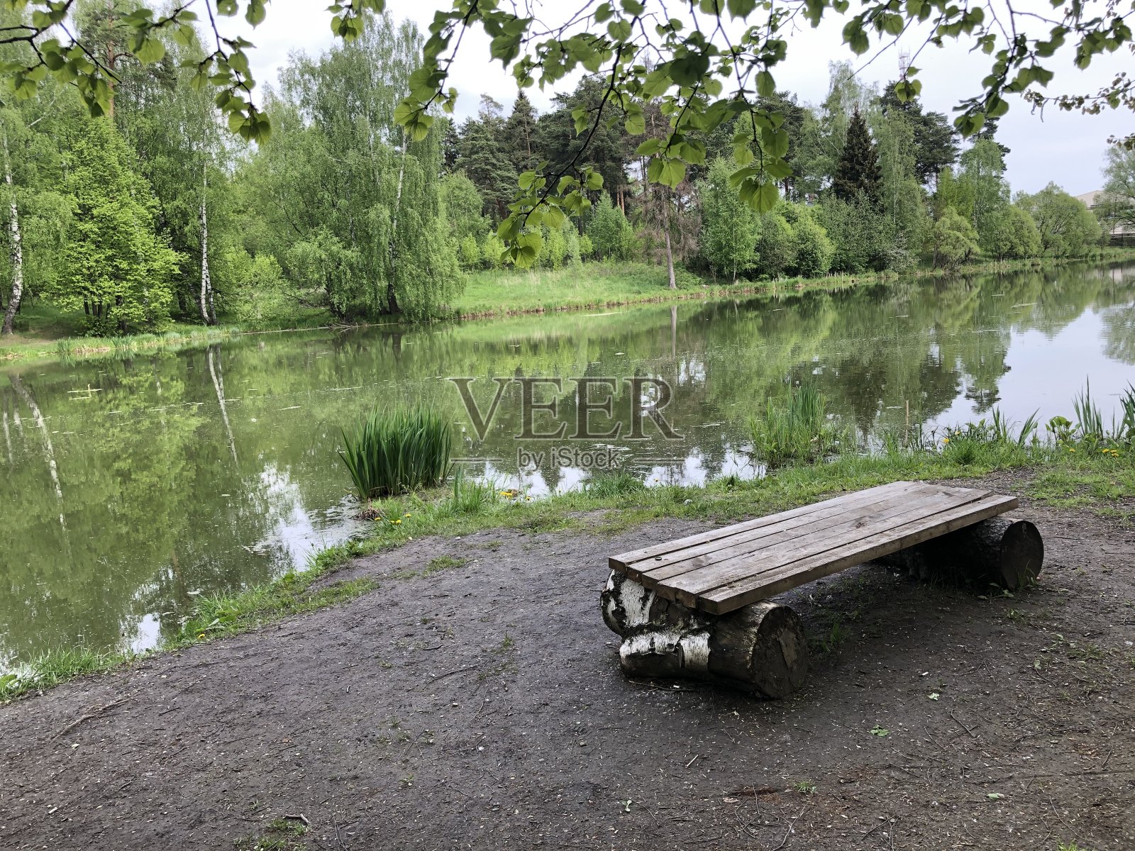 一条长凳,一个人也没有。只有大自然的森林,水和寂静。照片摄影图片