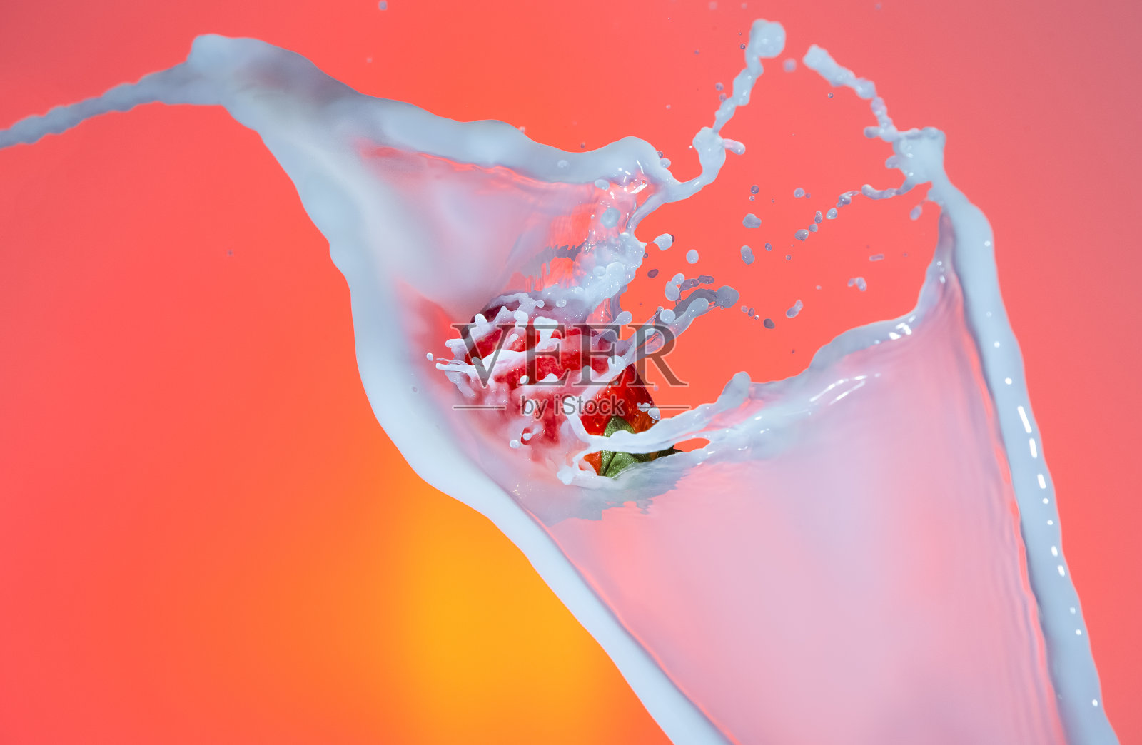 食品摄影。牛奶滴在草莓周围。在红色的背景下。水平射照片摄影图片