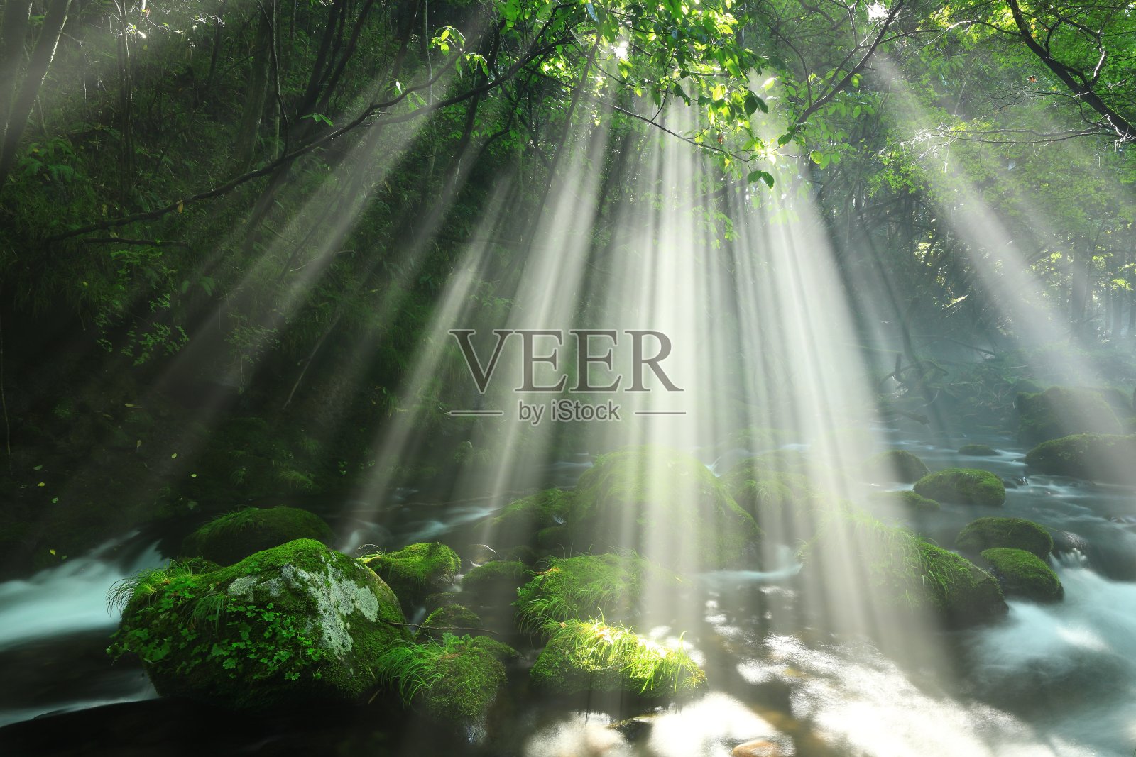 秋田县夏溪照片摄影图片