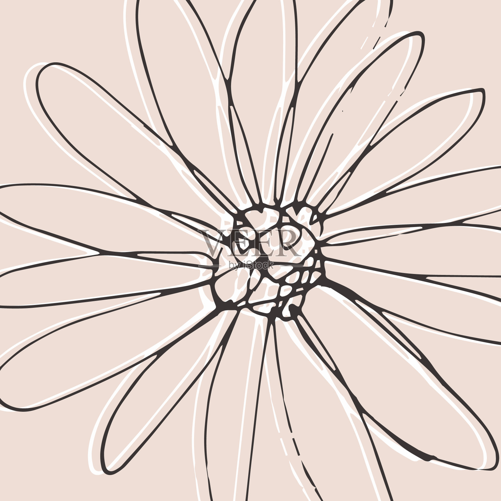 极简卡片花卉艺术设计。精致的复古海报插画图片素材