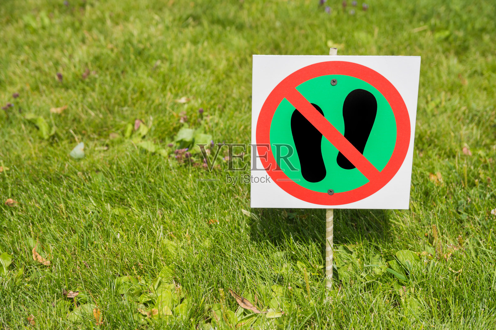 警示牌图片,意思是严禁在草地上行走。该标志安装在公园草坪区域的边缘。照片摄影图片