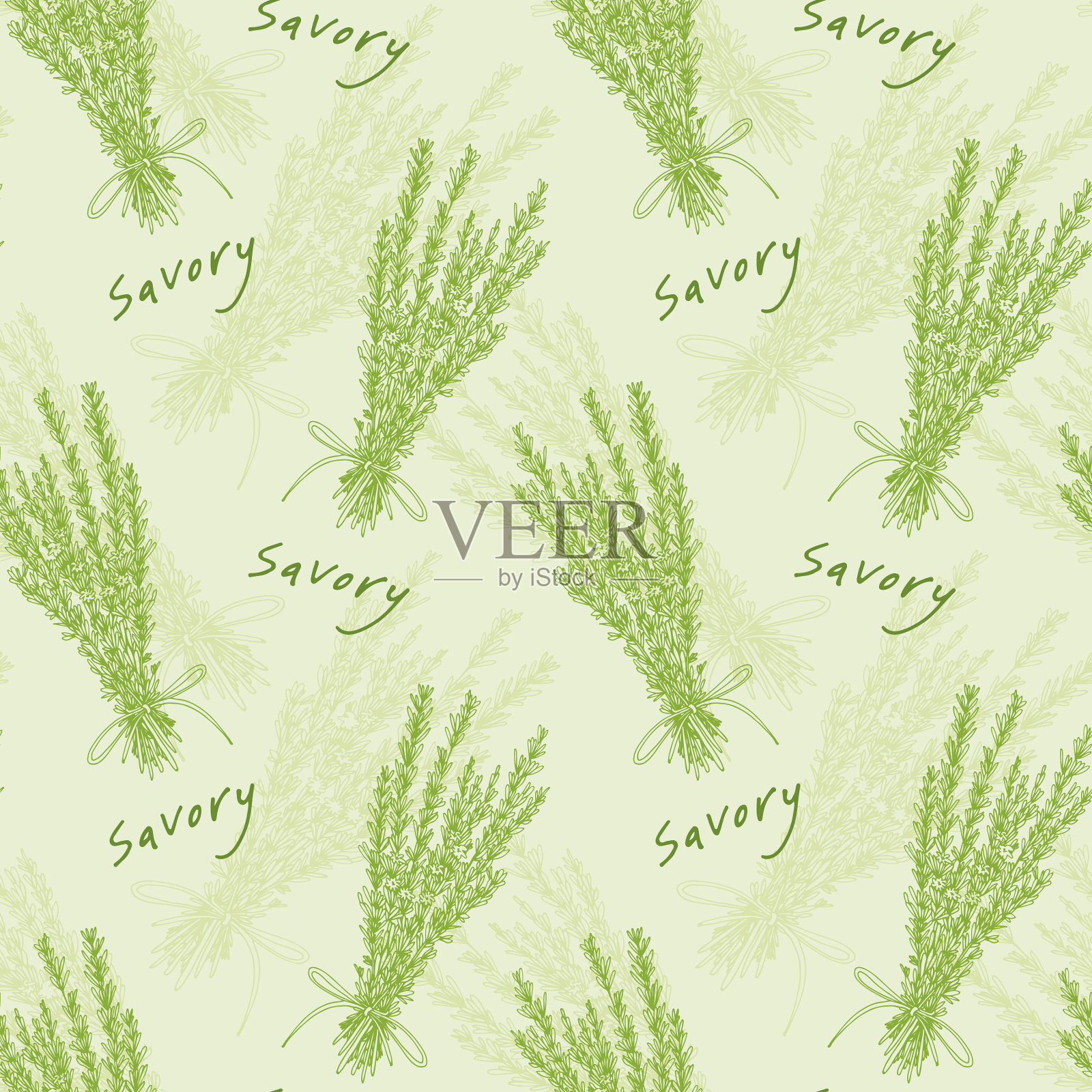 香草芳香图案绿色背景与手插画图片素材