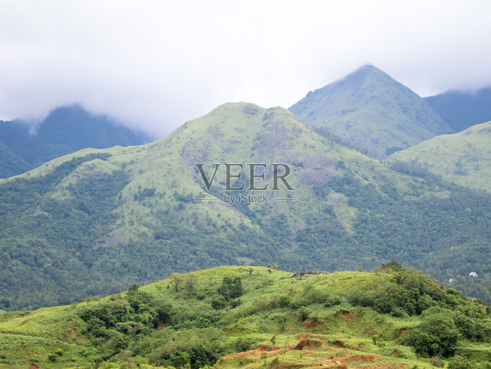 喀拉拉邦巴纳苏拉萨加尔大坝西高止山脉的美丽山丘照片摄影图片