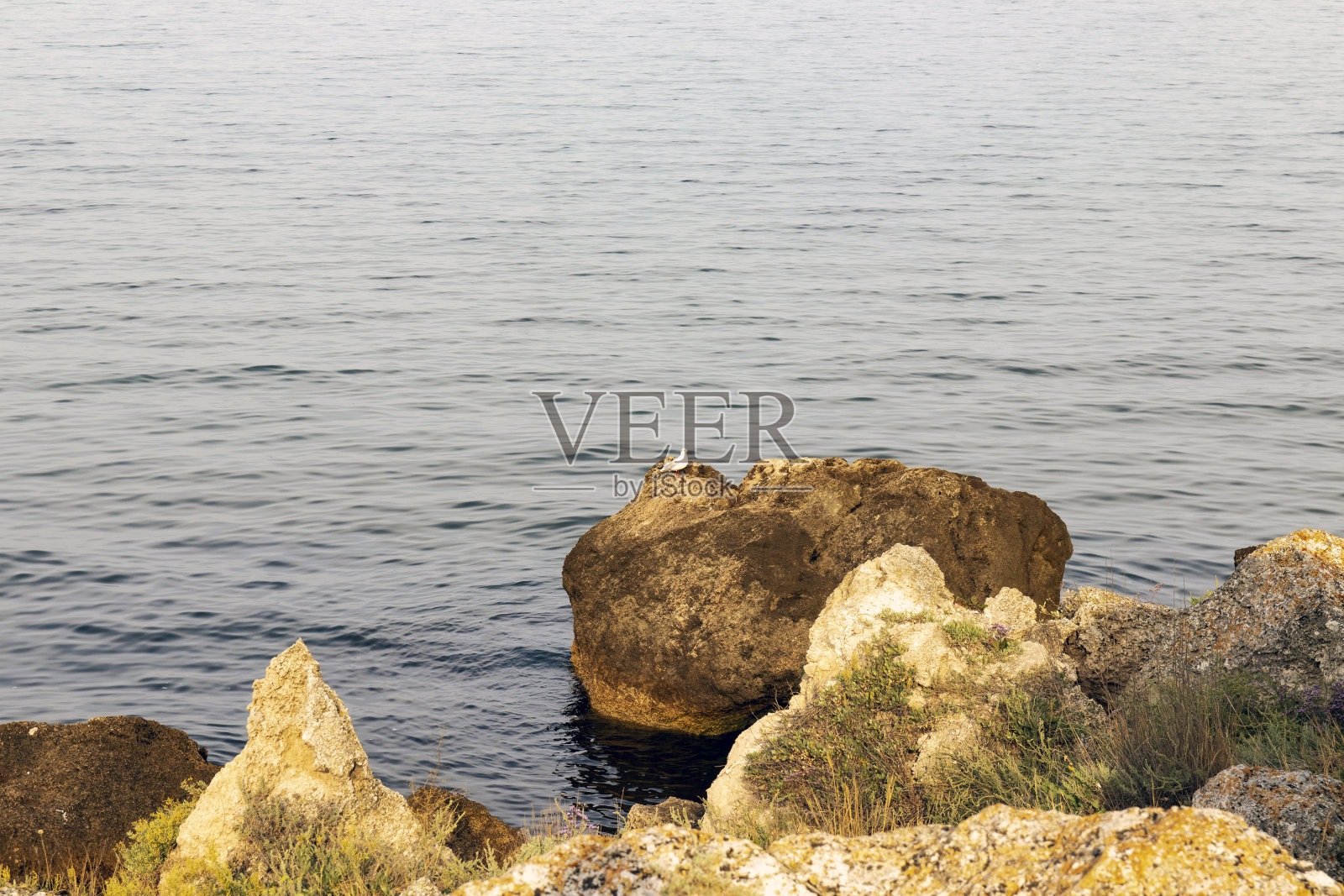 阳光明媚的海景照片摄影图片