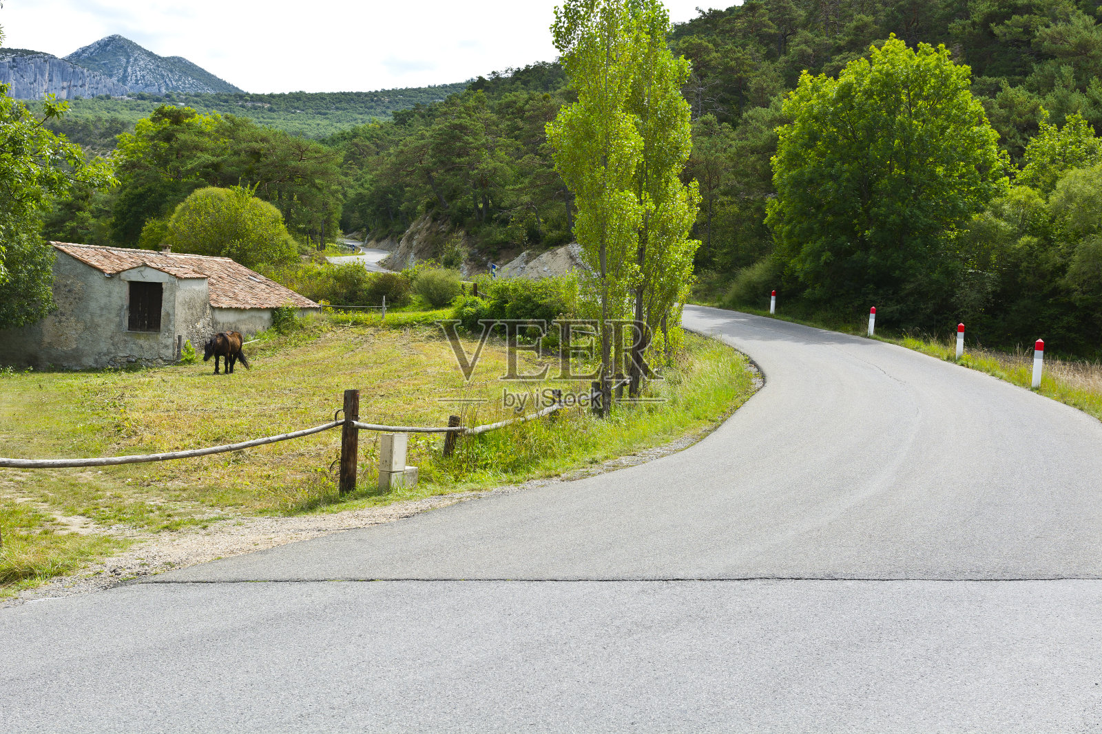马在山路附近吃草照片摄影图片