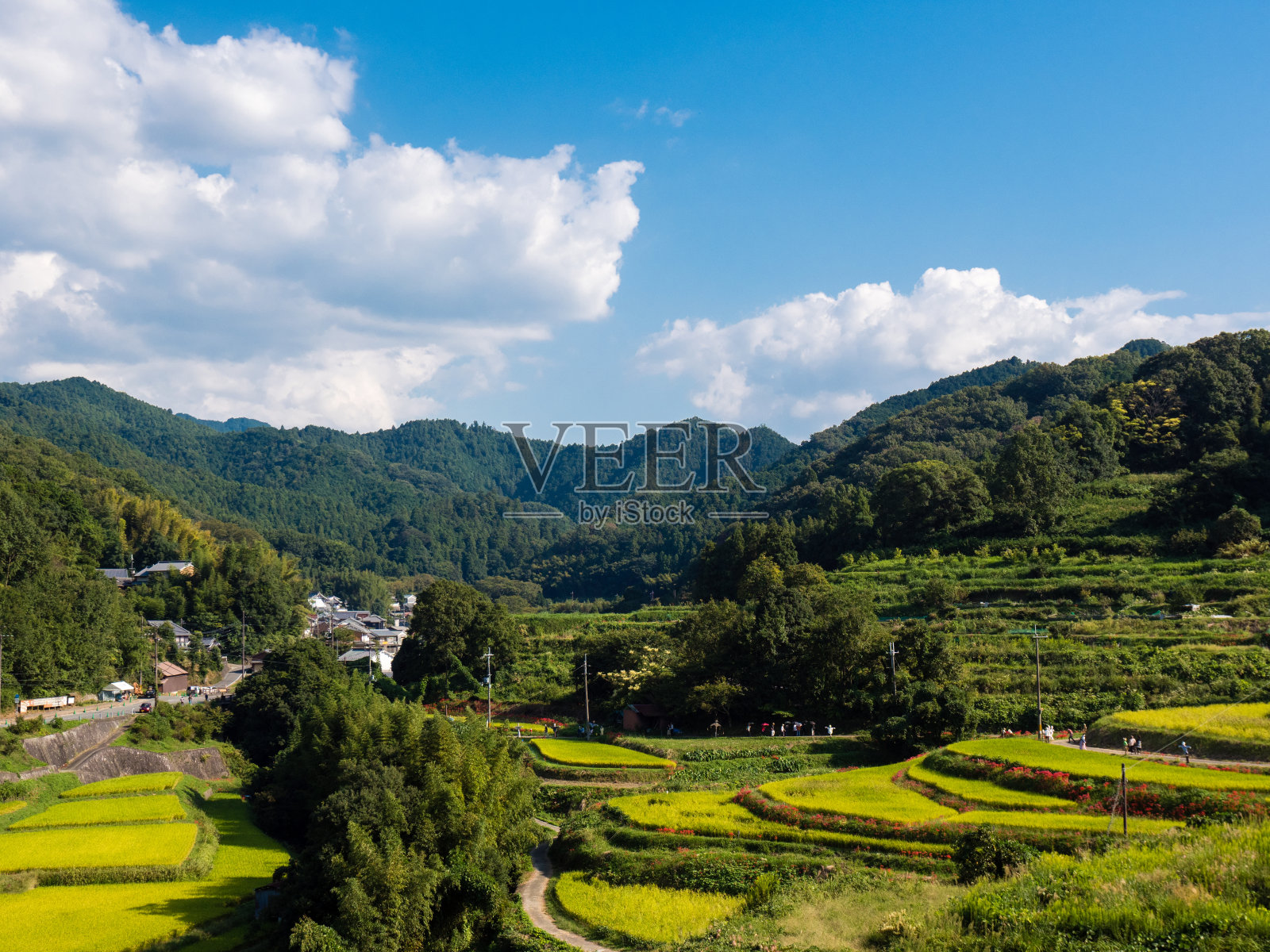 秋天的收获照片摄影图片