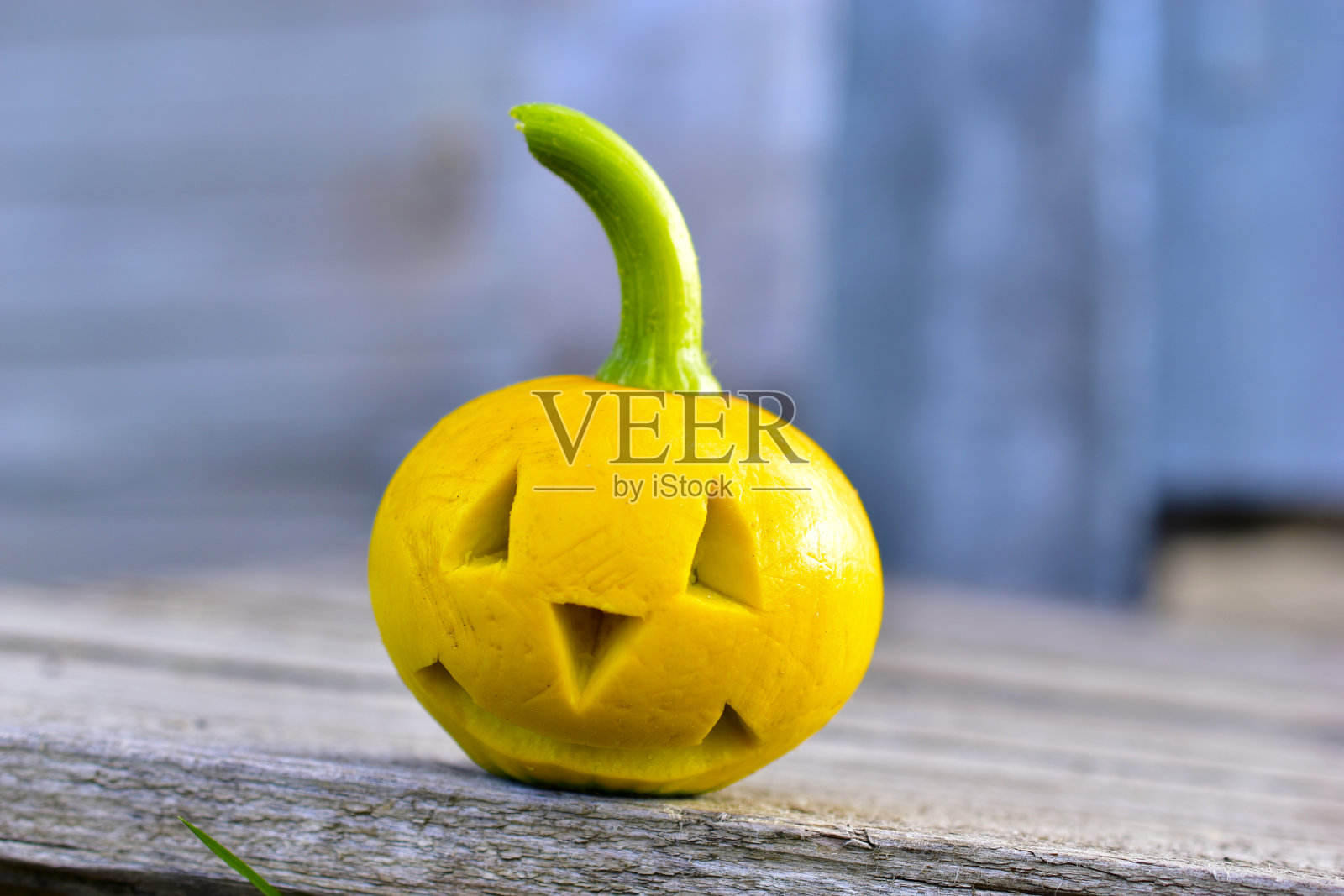 花园里雕刻着人脸的黄色南瓜照片摄影图片