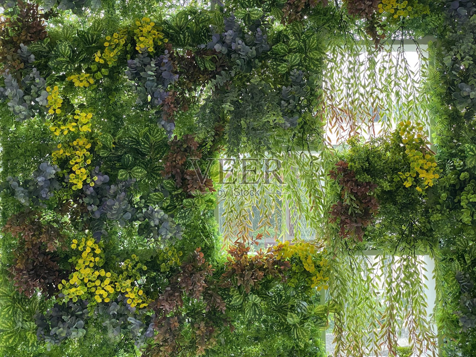 装饰花照片摄影图片