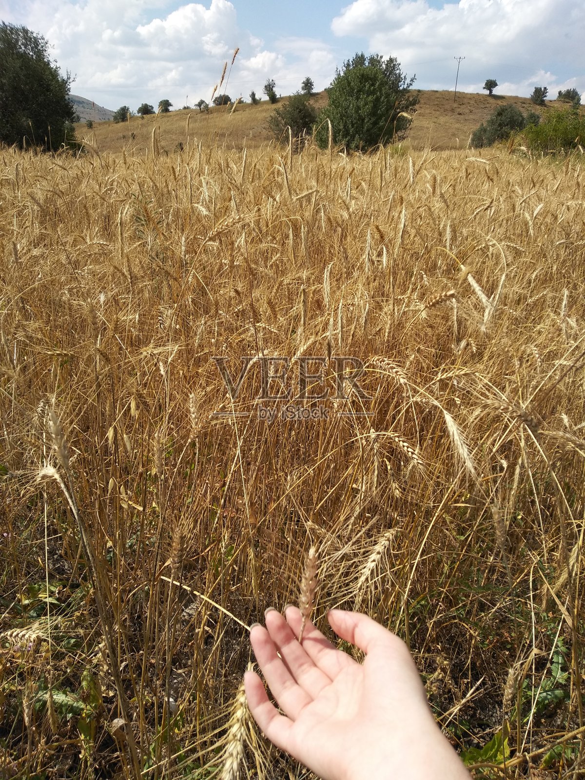 自然照片摄影图片