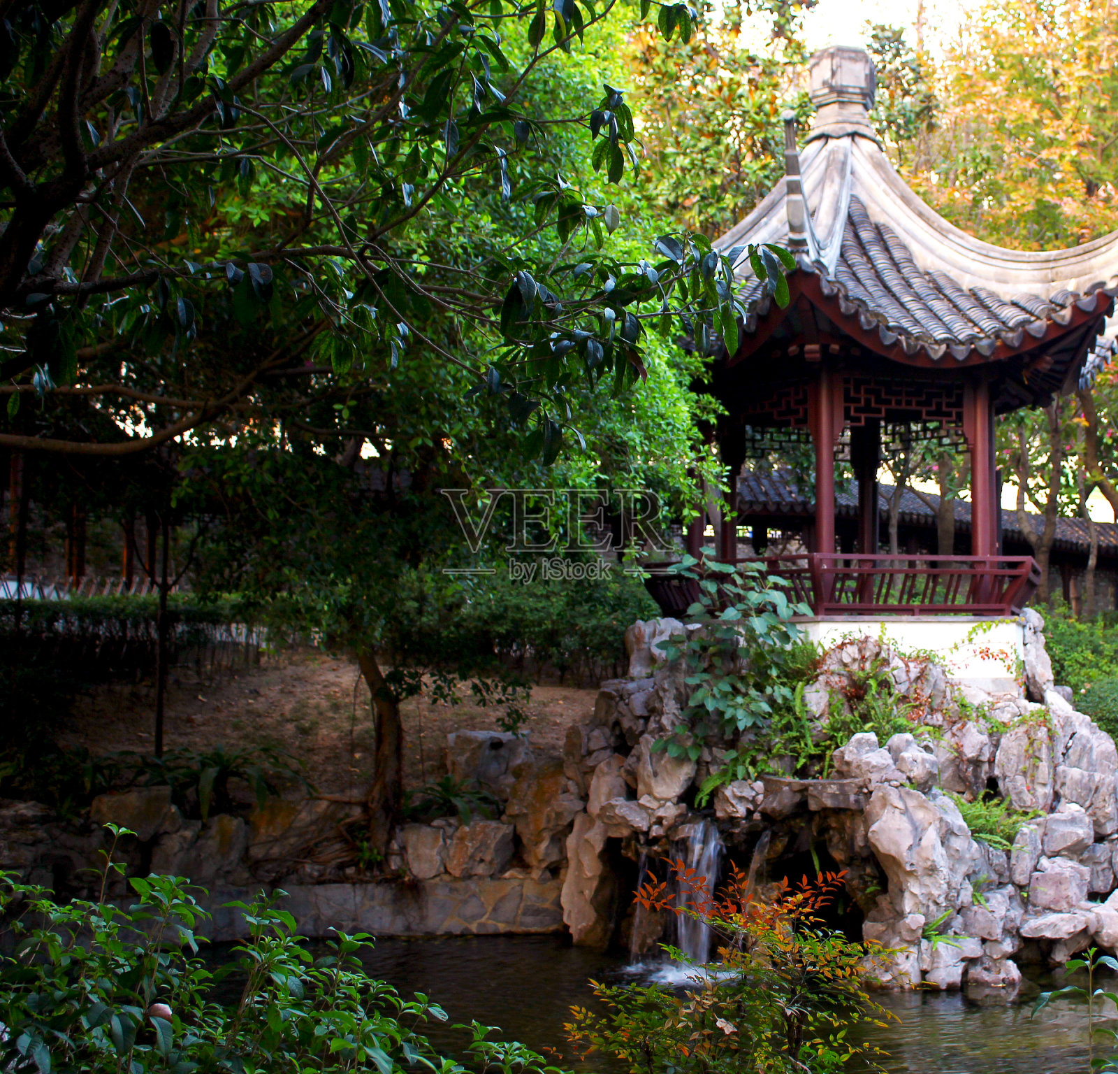 公园里的日式花园照片摄影图片