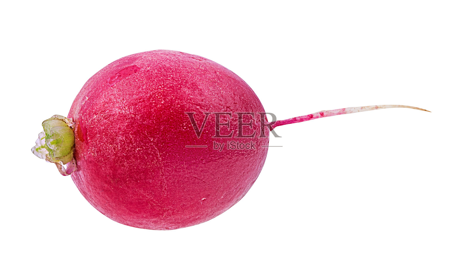 萝卜孤立在白色背景与修剪路径照片摄影图片
