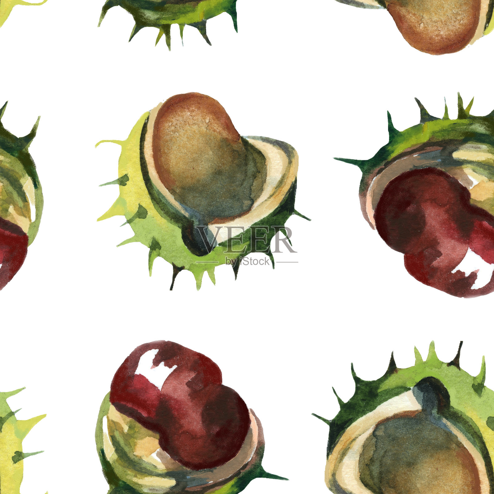 水彩栗子孤立在白色无缝图案上。插画图片素材