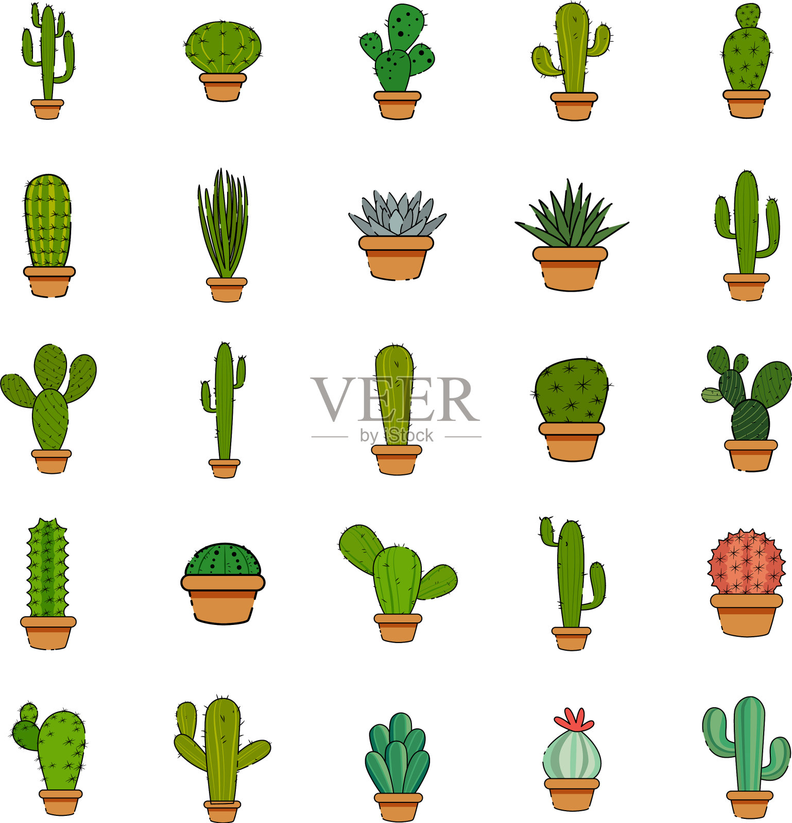 在盆栽中种植仙人掌插画图片素材