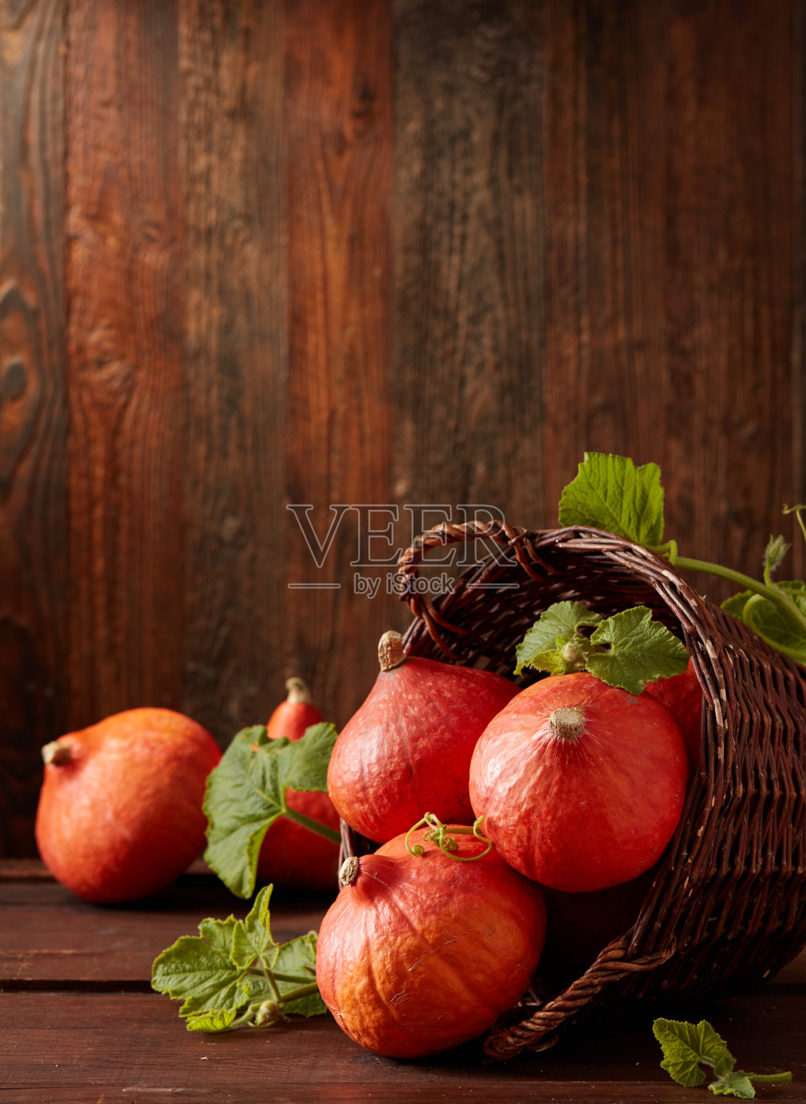 农用泵照片摄影图片