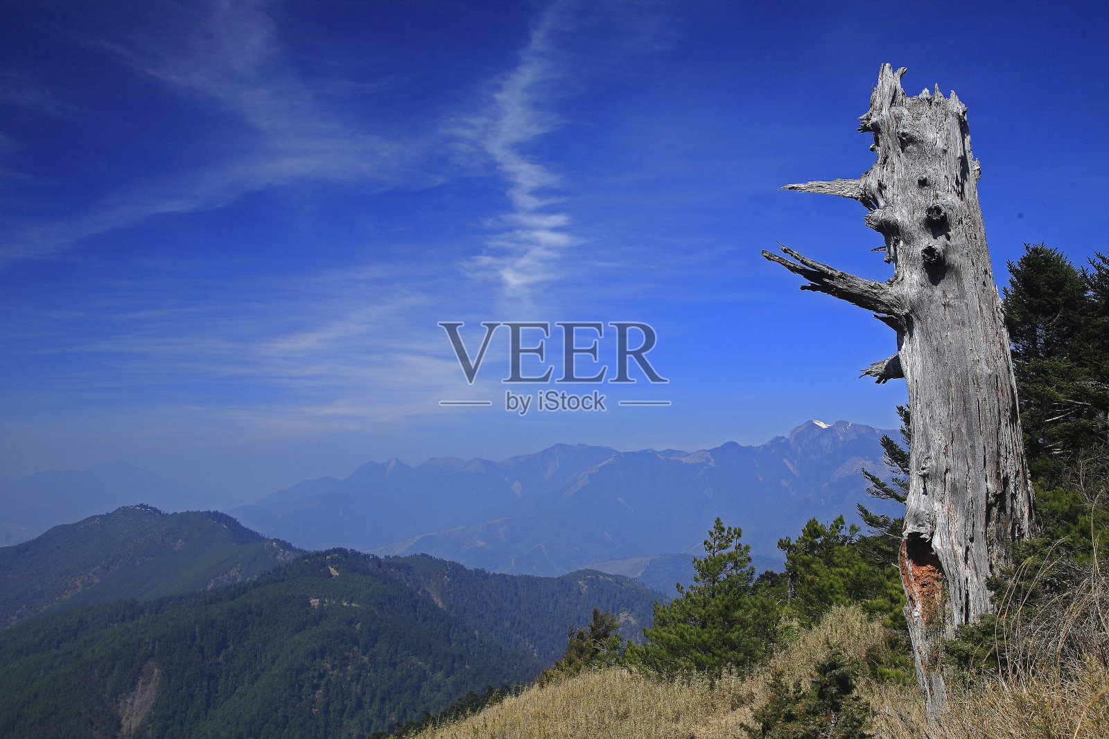 台湾雪巴公园马阵草原回顾照片摄影图片