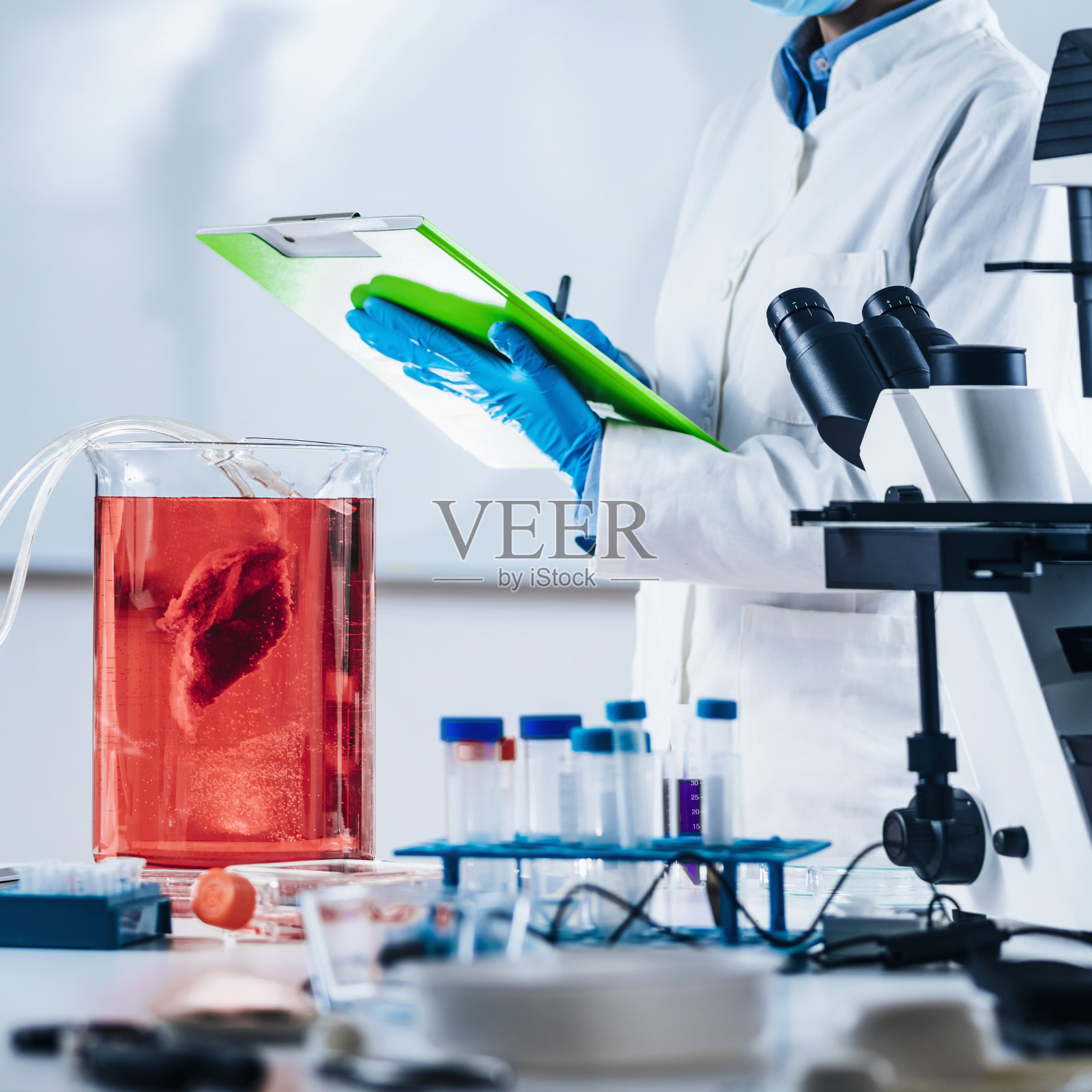 培养肉。女科学家在实验室做笔记照片摄影图片