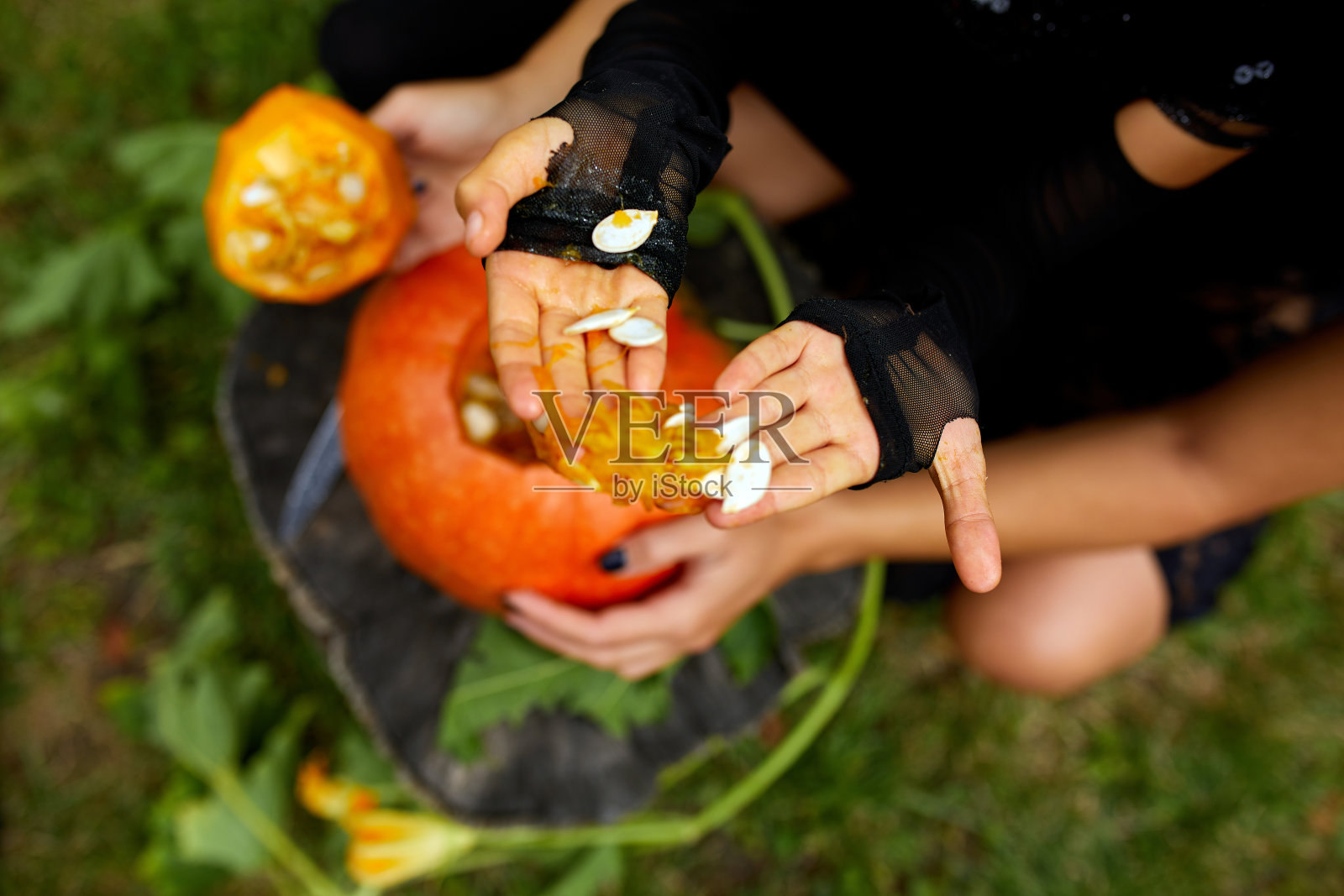 女儿和母亲双手雕刻万圣节南瓜,准备杰克灯照片摄影图片