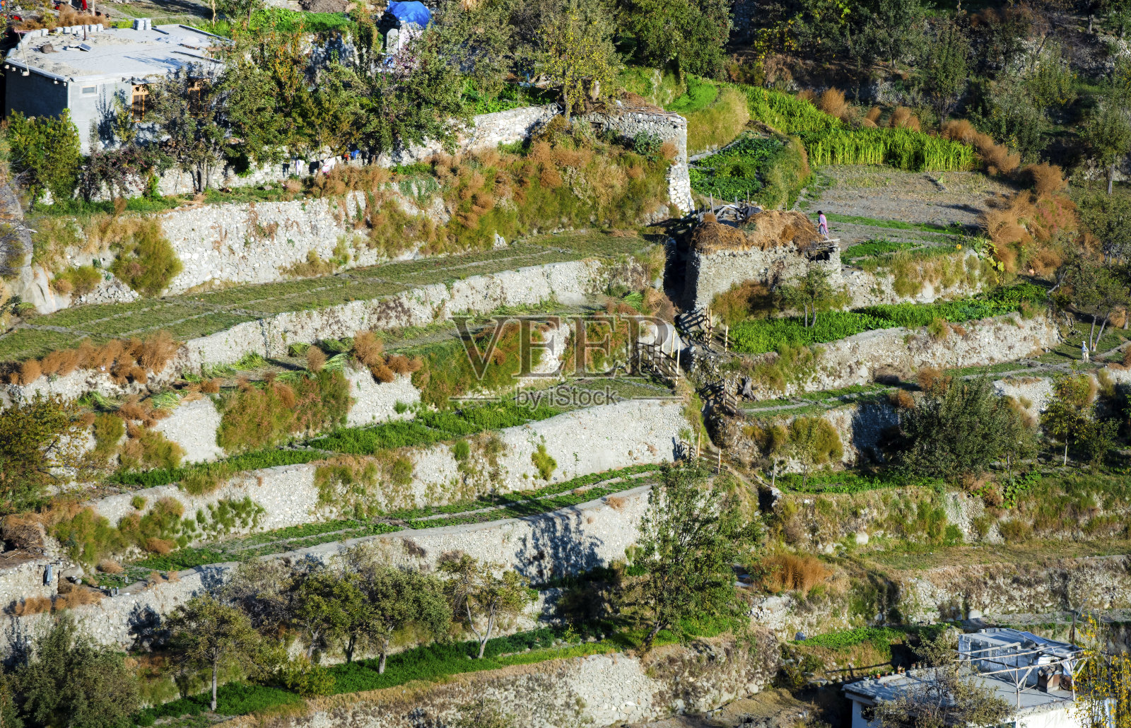 罕萨在秋天照片摄影图片