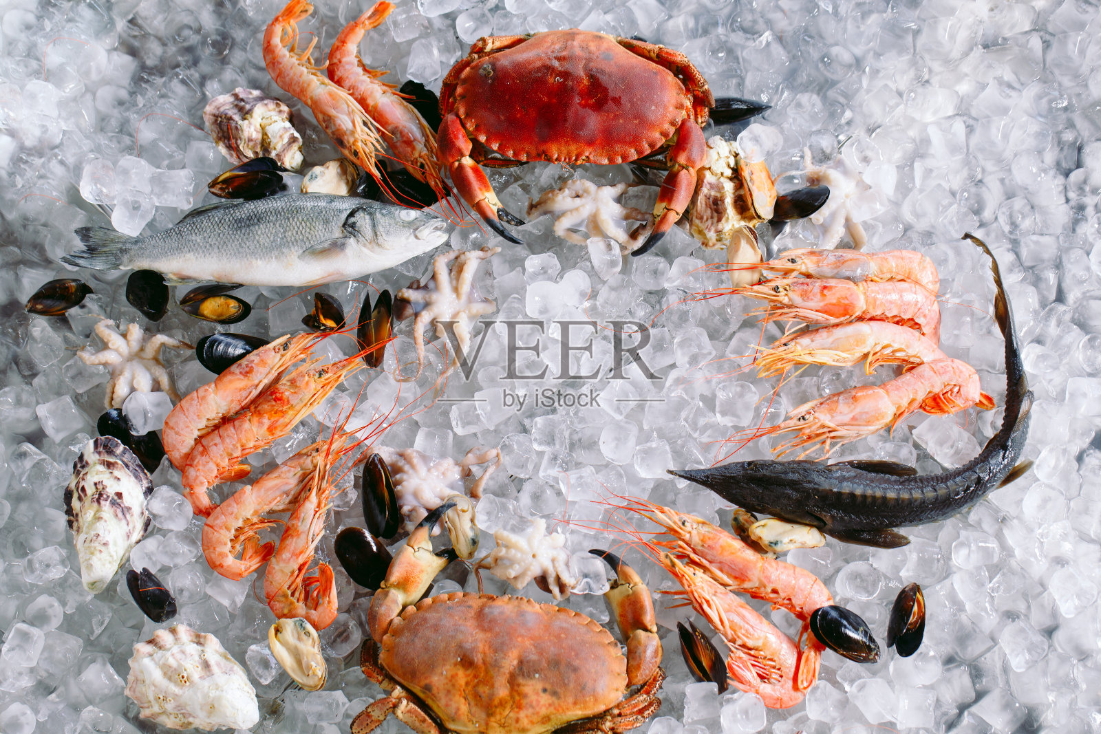 海鲜在冰上。螃蟹,鲟鱼,贝类,虾,虾,鱼,剑鱼,白冰。照片摄影图片