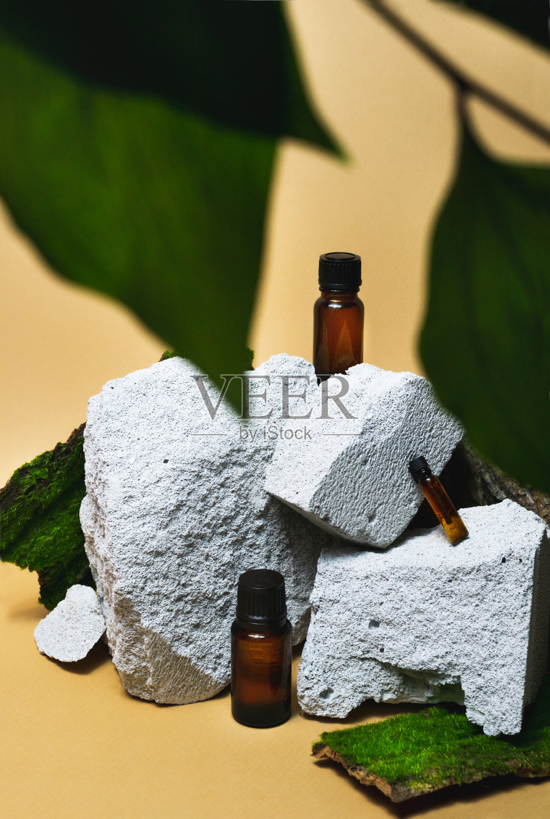 香精油瓶在天然米色石讲台背景与苔藓,树皮,树叶。芳香spa包装照片摄影图片