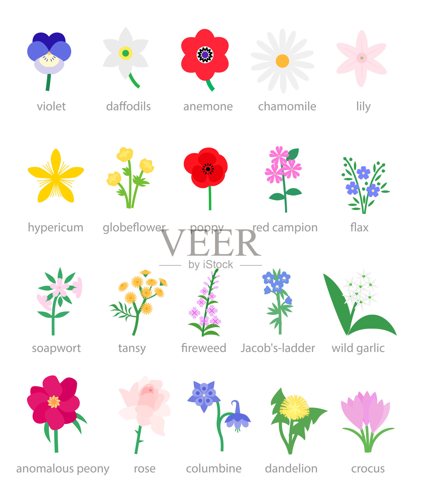 野花和花园花矢量插图插画图片素材