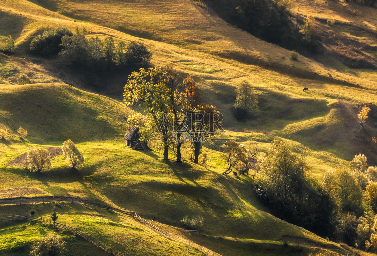 喀尔巴阡山脉美丽的秋天风景。树下的小房子。乌克兰。照片摄影图片