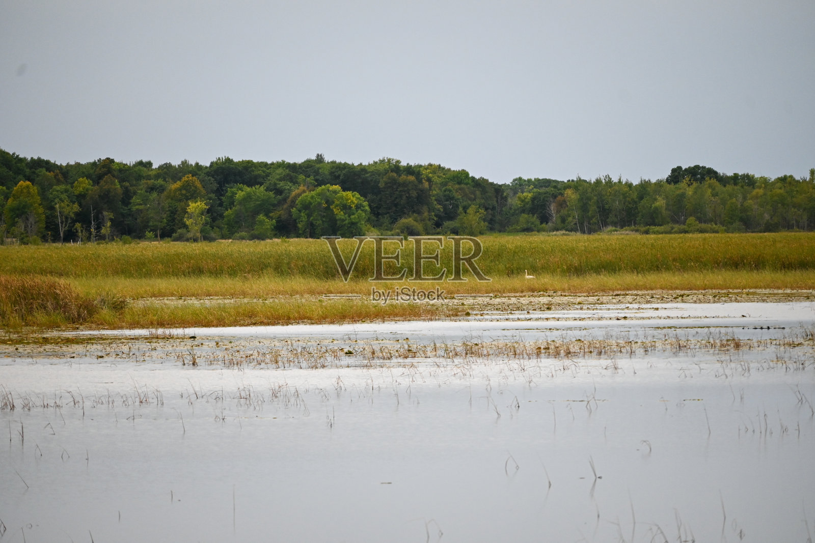 秋季景观照片摄影图片