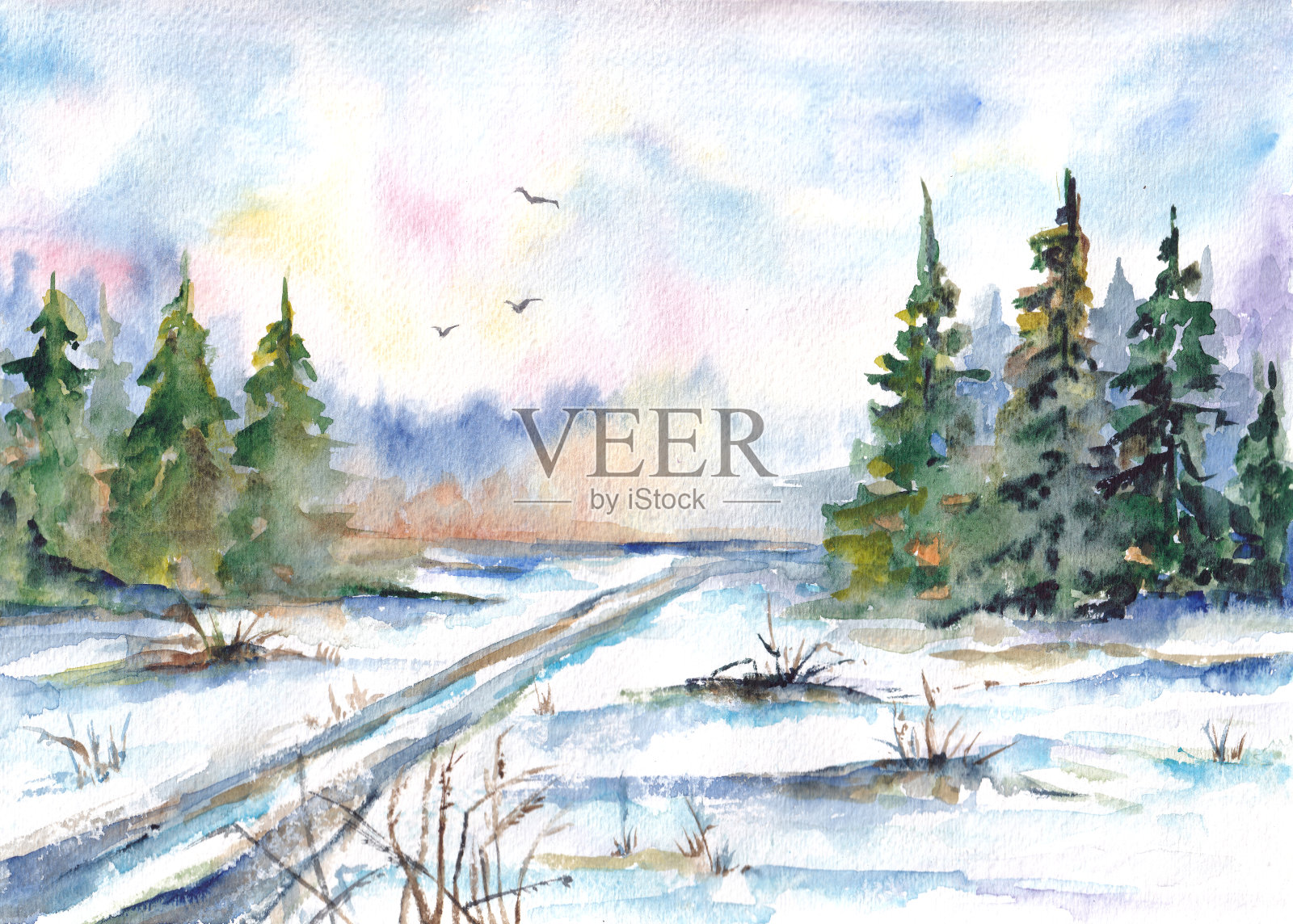 水彩风景。阳光灿烂的冬日。森林里生长着云杉,地上覆盖着雪。有阳光的抽象天空。手绘。插画图片素材