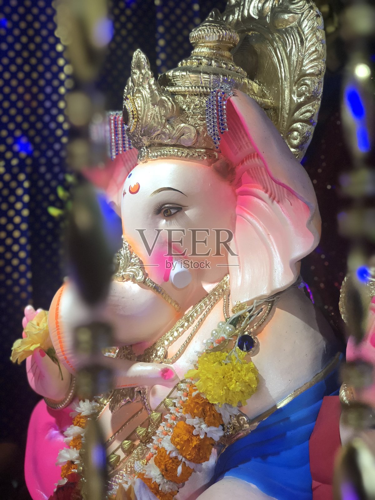 什里·甘尼莎照片摄影图片