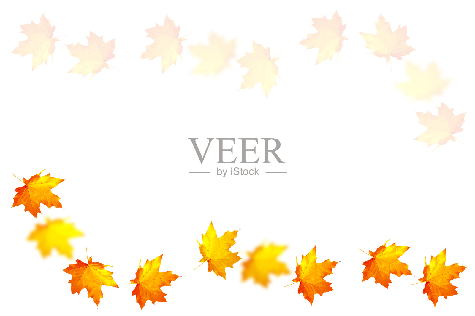 丰富多彩的秋叶照片摄影图片