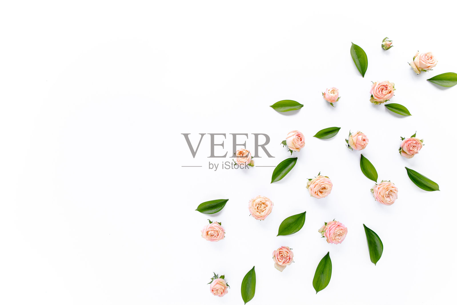 以粉红色玫瑰、绿叶、树枝为背景的花型图案。平躺,俯视图。情人节的背景。花卉图案。模式照片摄影图片