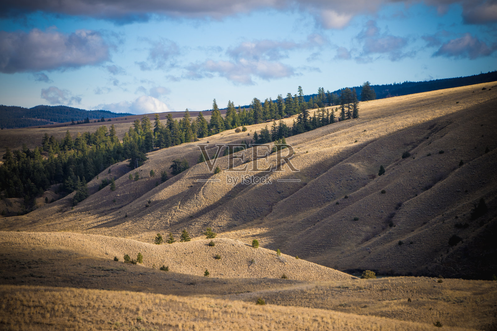 丰泽照片摄影图片