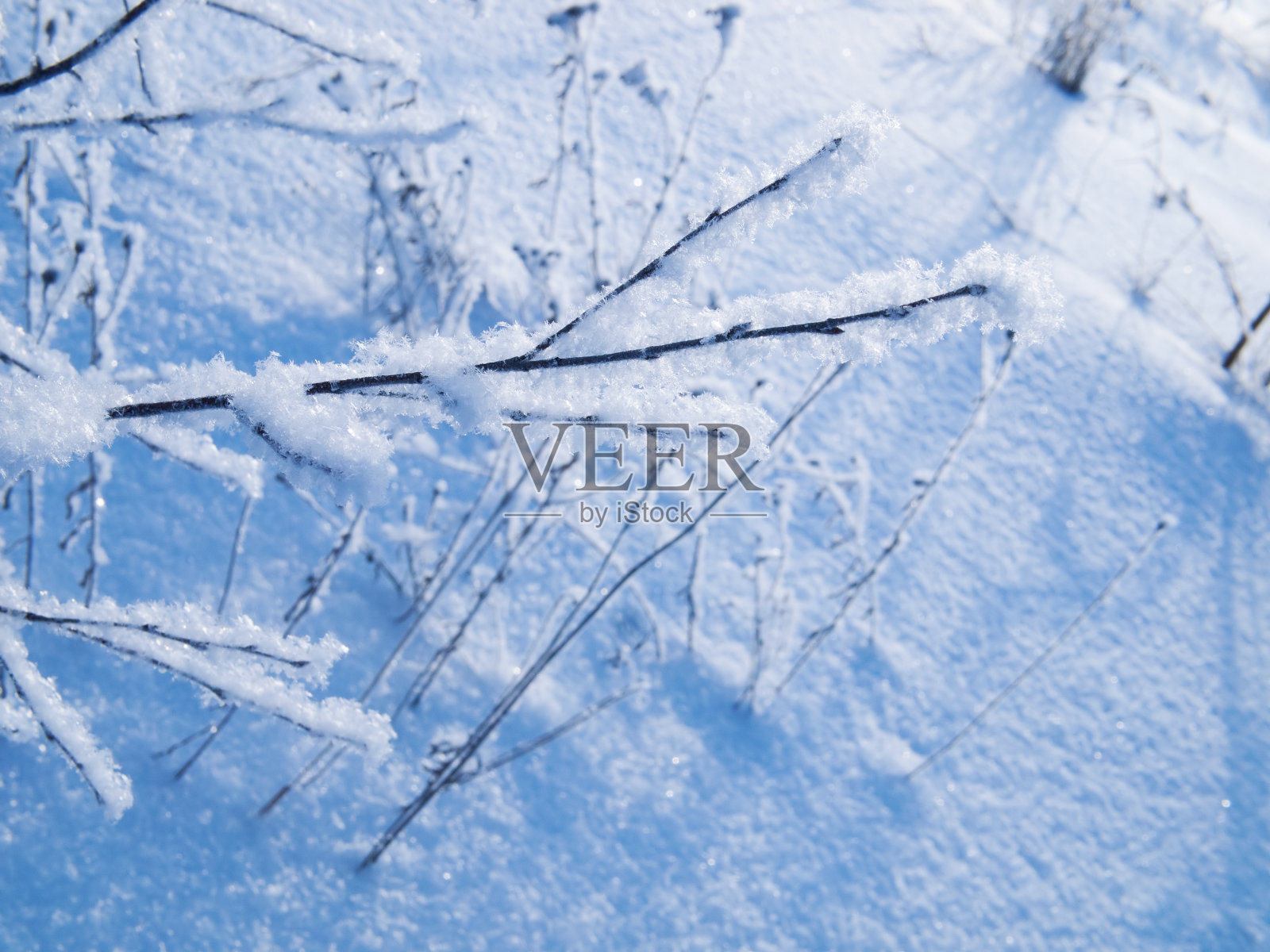 冬天照片摄影图片