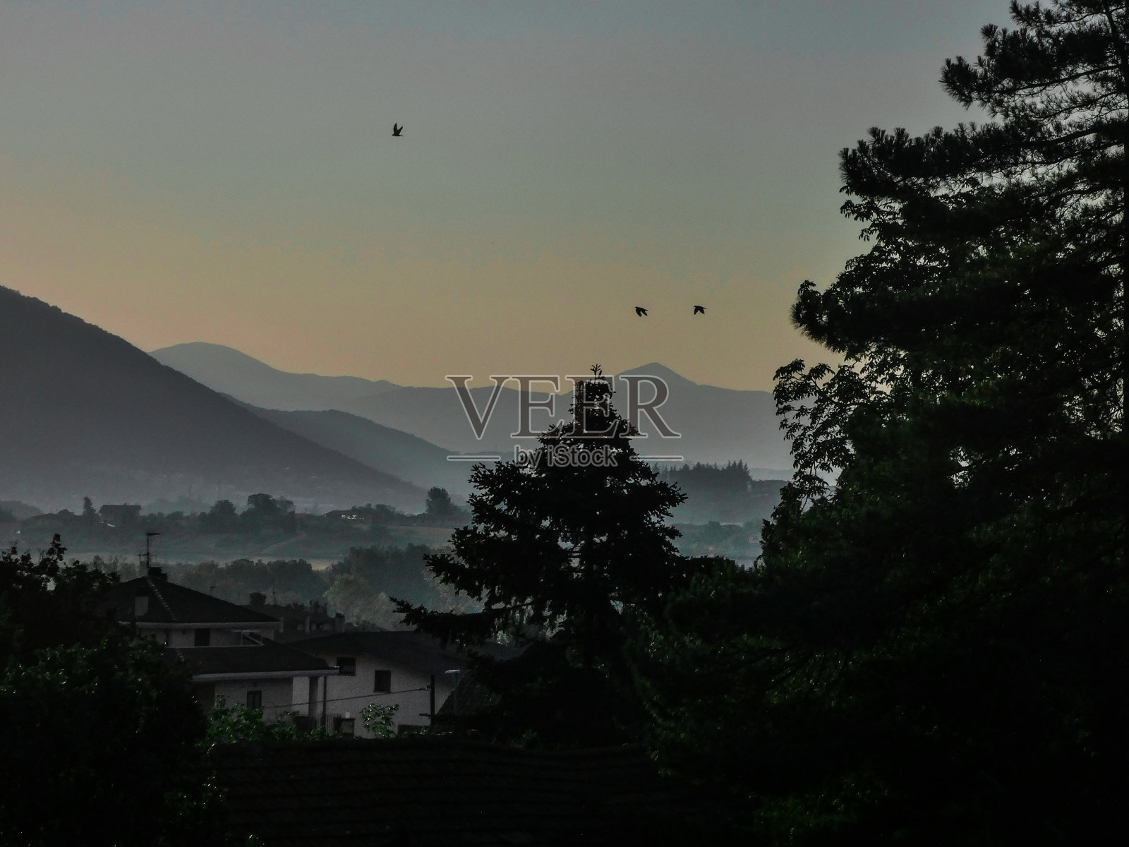 日出时的飞鸟照片摄影图片