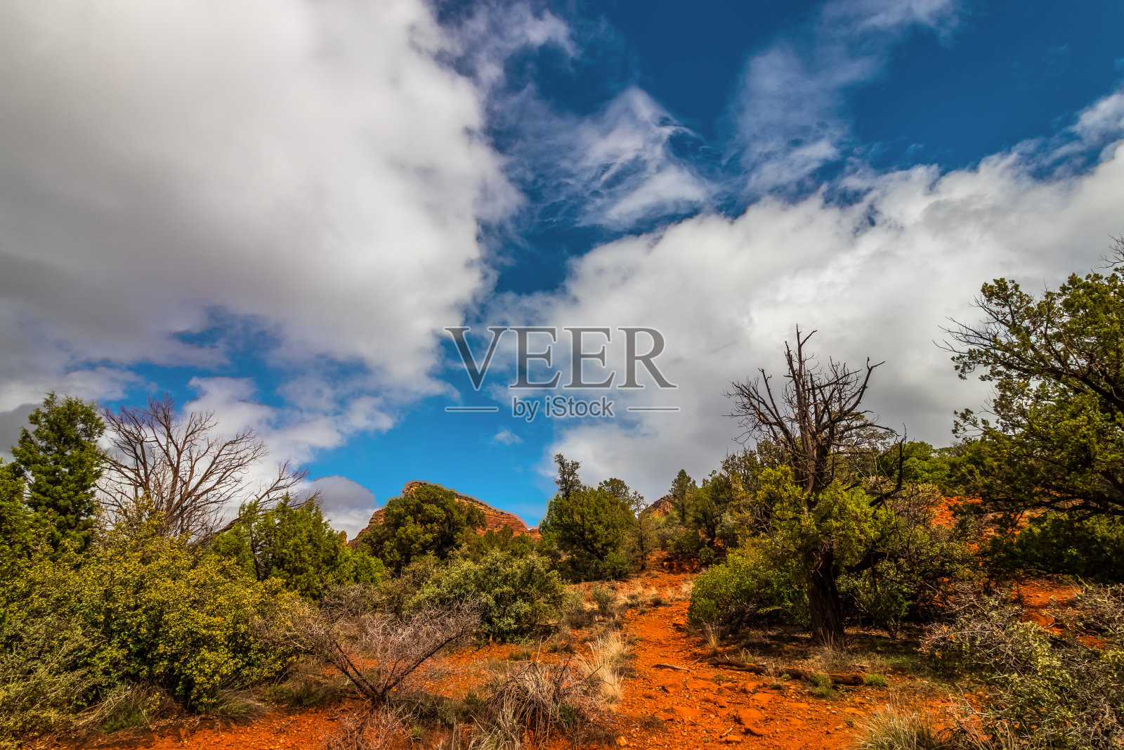 美国亚利桑那州塞多纳郊外明亮的午后荒野风光照片摄影图片