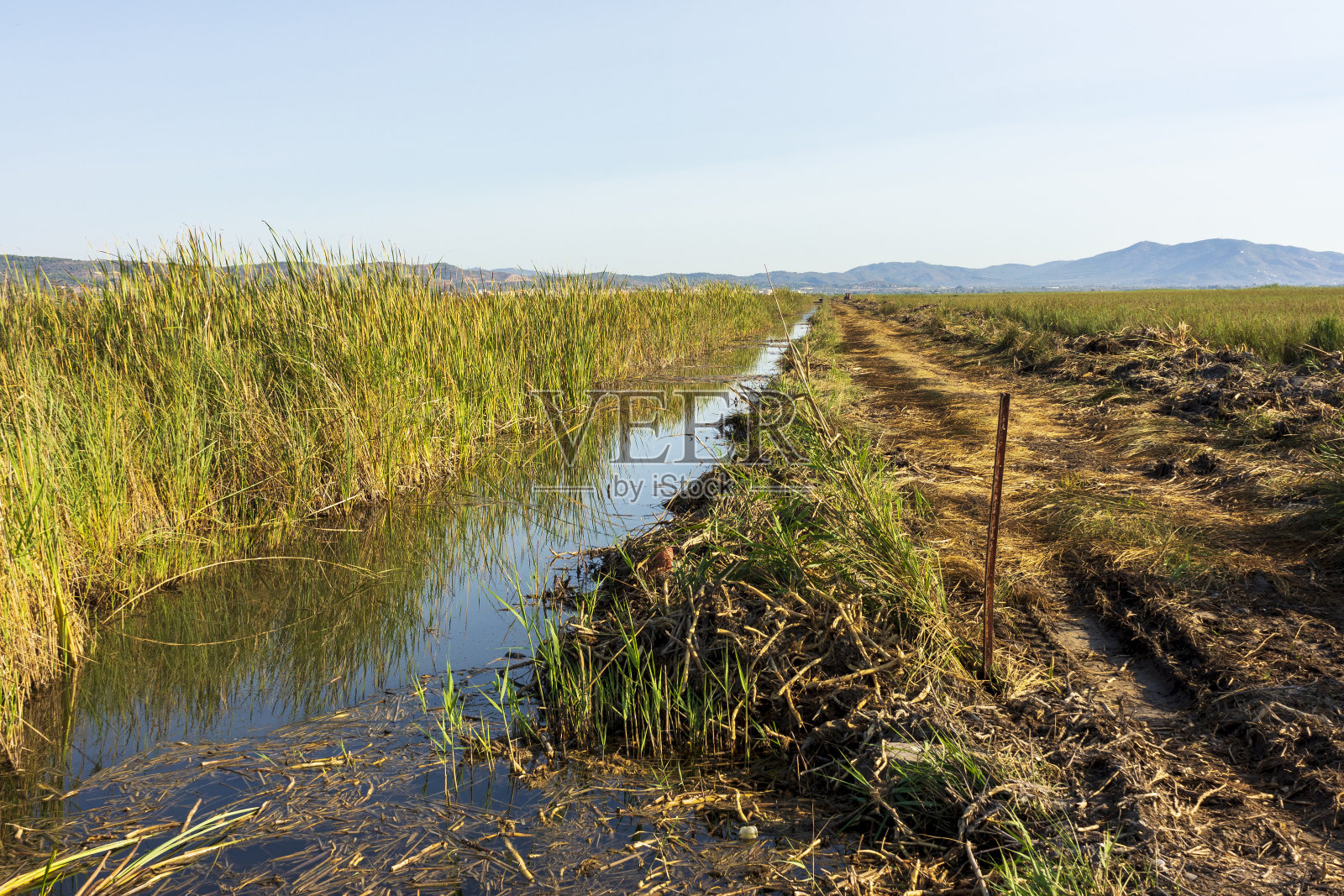 沿着阿扎哈海岸的棚屋照片摄影图片