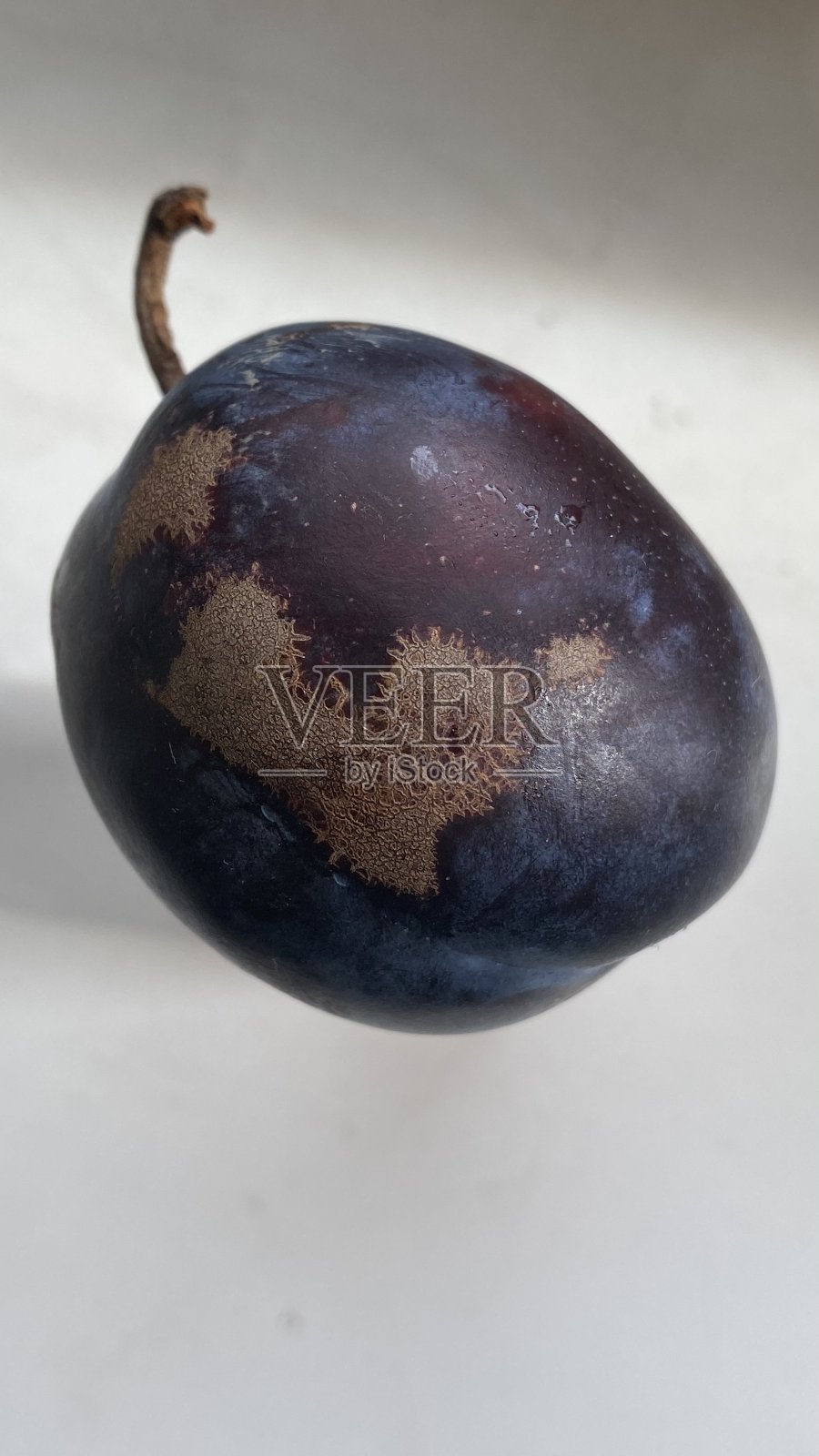 成熟的皇家李子的形象特写在桌子上的各种组成照片摄影图片