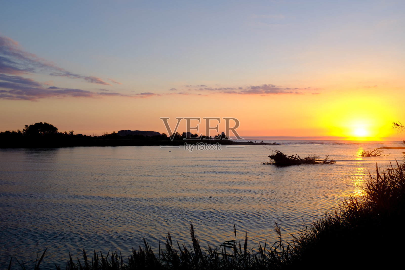 橙色的日出景观在海岸水域景观与树林在水上照片摄影图片