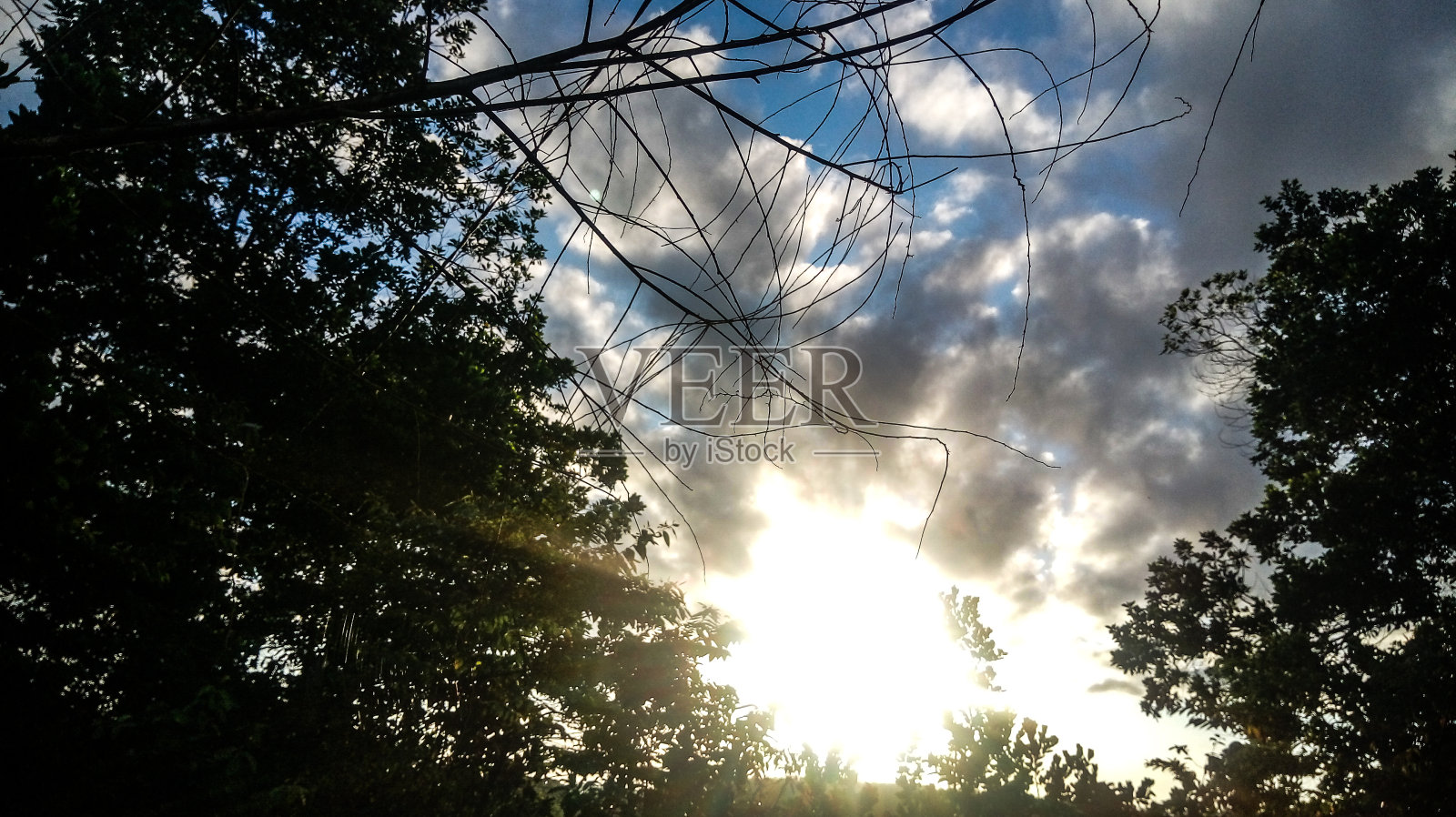 早上的日出照片摄影图片