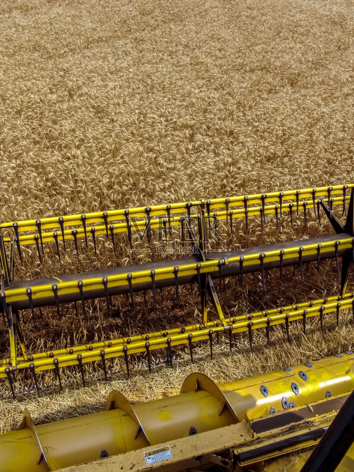 Bazil黄色麦田上的联合收割机照片摄影图片