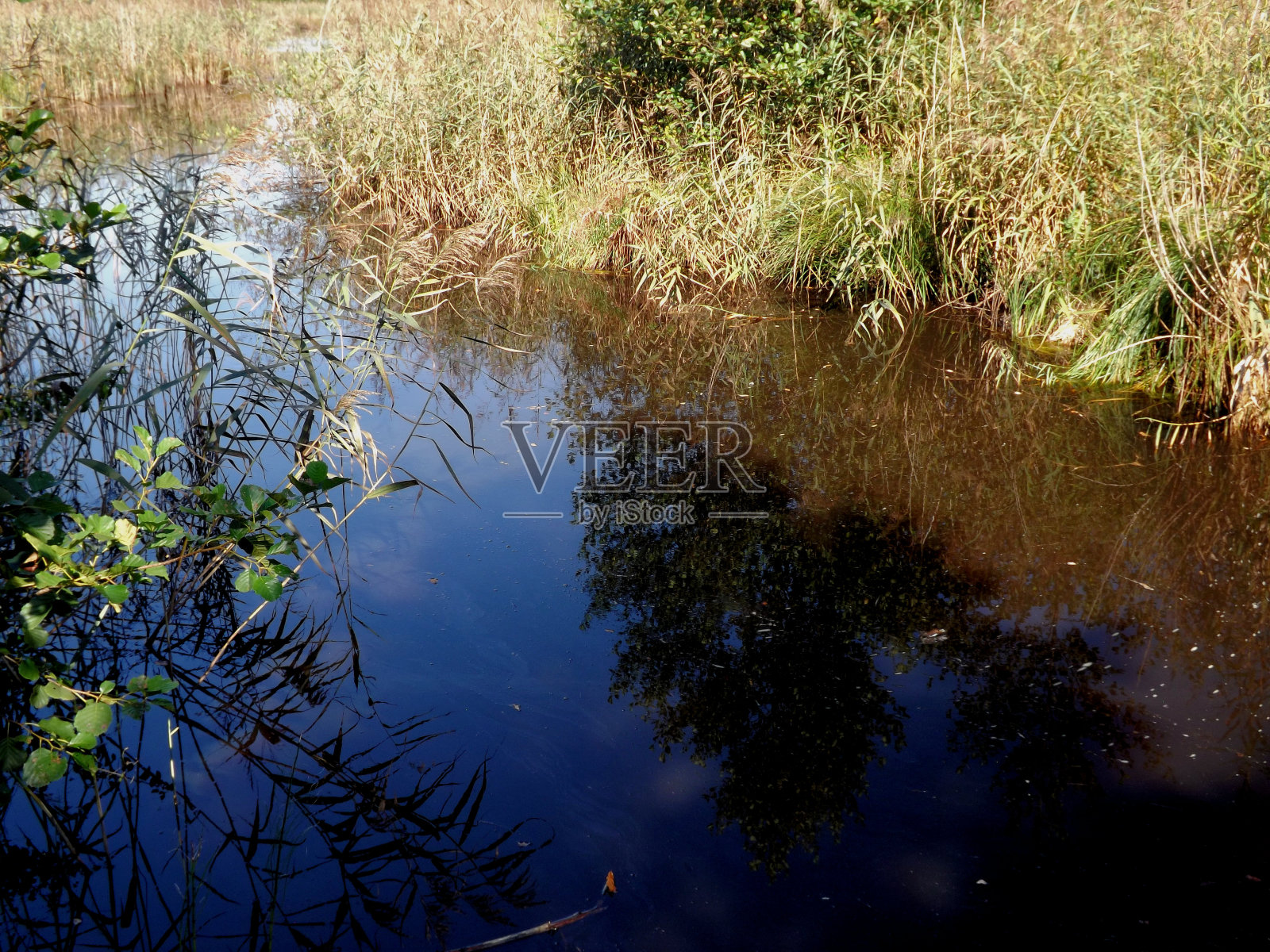 Deininger摘要照片摄影图片