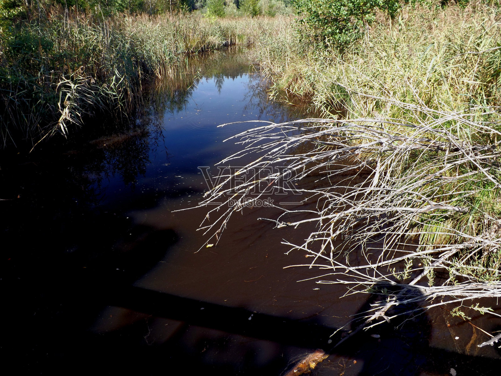 Deininger摘要照片摄影图片