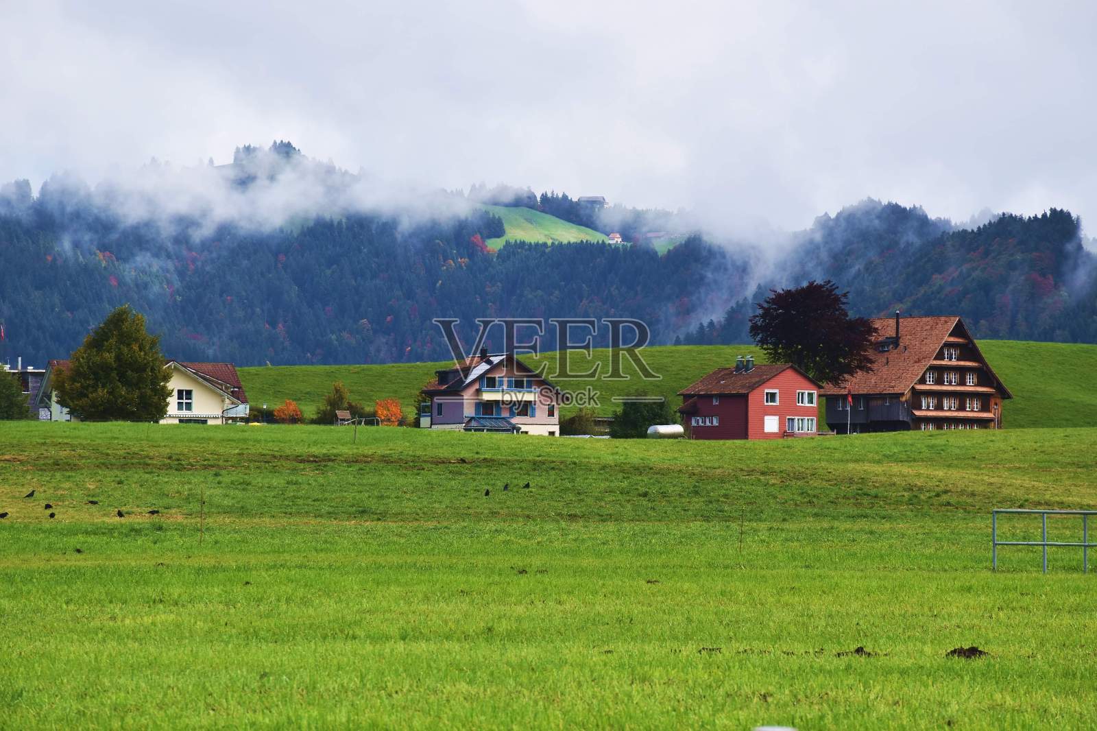 瑞士的传统房屋照片摄影图片