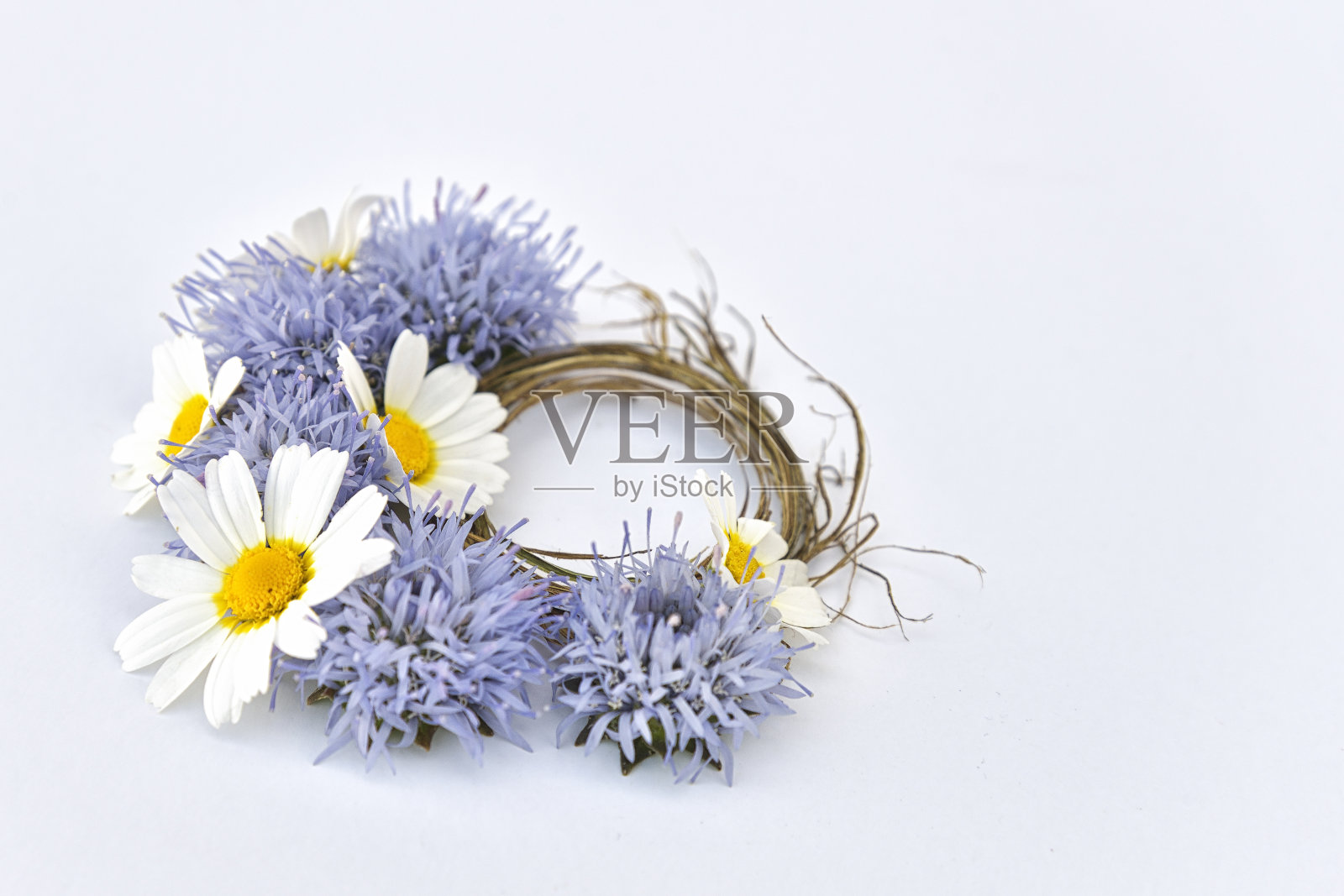 洋甘菊和紫色的花在一个明亮的背景和一圈干草。照片摄影图片