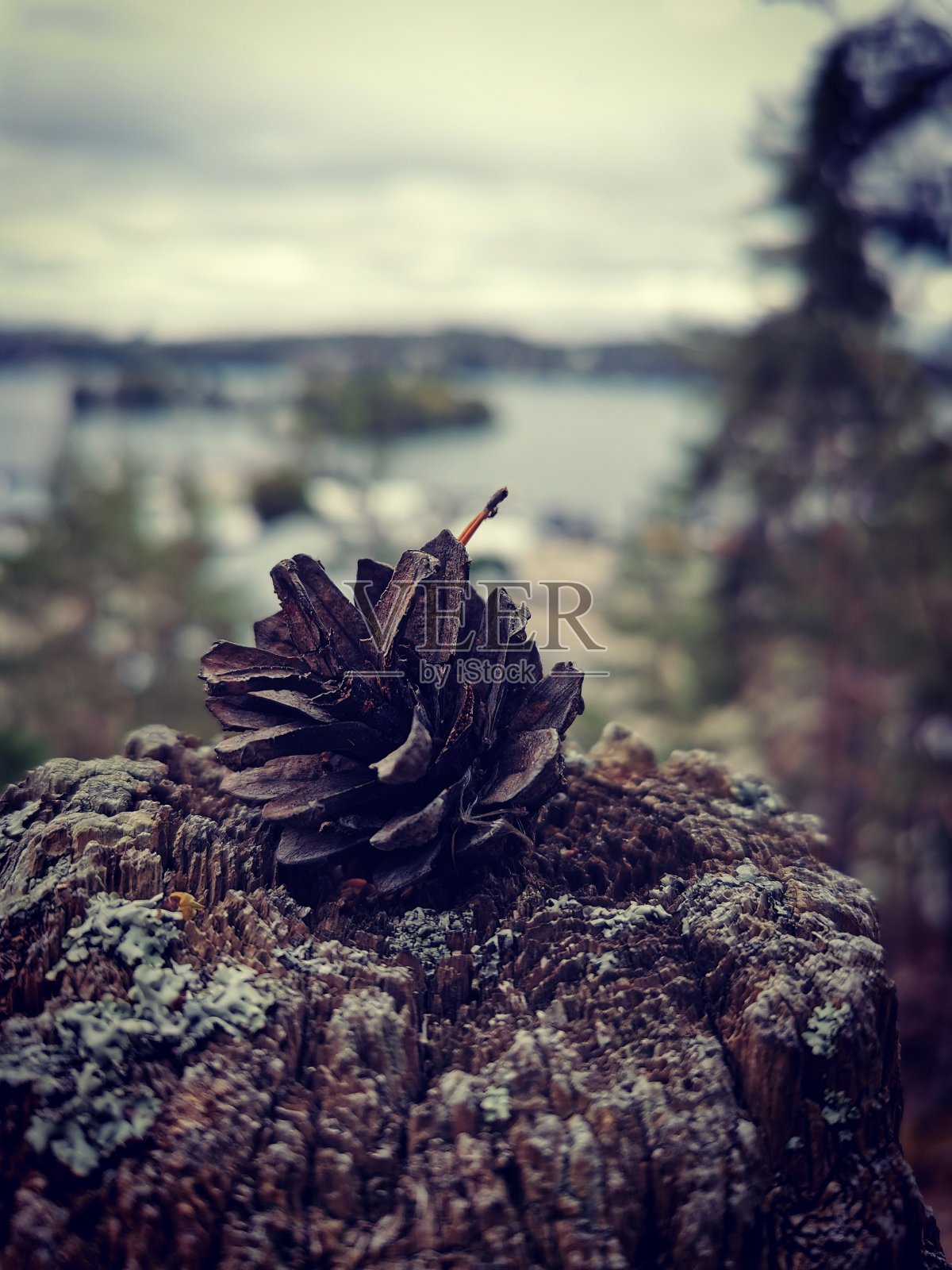 自然照片摄影图片