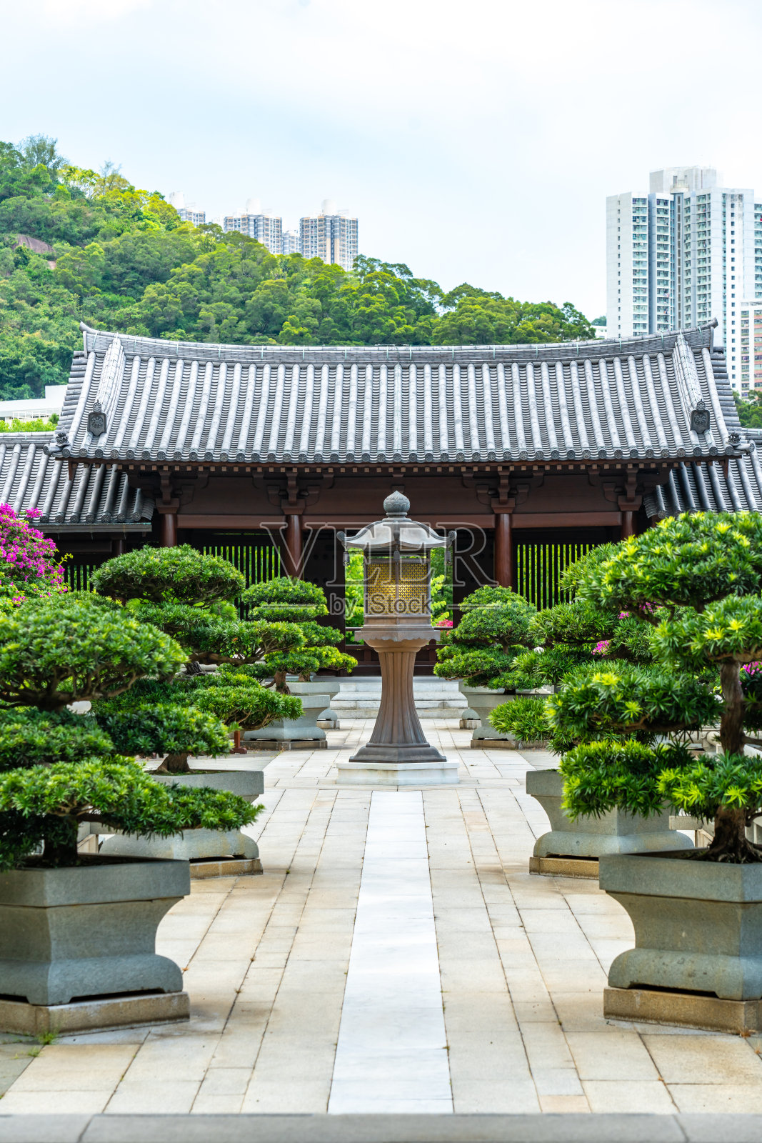芝莲庵,唐朝风格的寺庙,香港,中国照片摄影图片