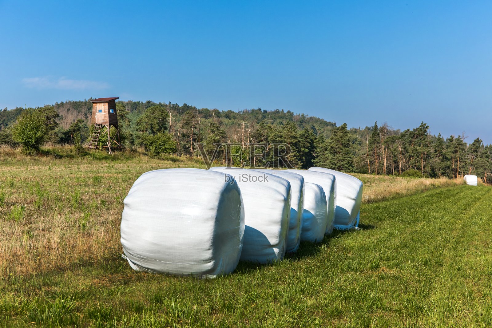 用塑料包装的干草包景观。捷克共和国的农业景观。一个夏天的早晨,猪的瞭望塔,狩猎塔。照片摄影图片